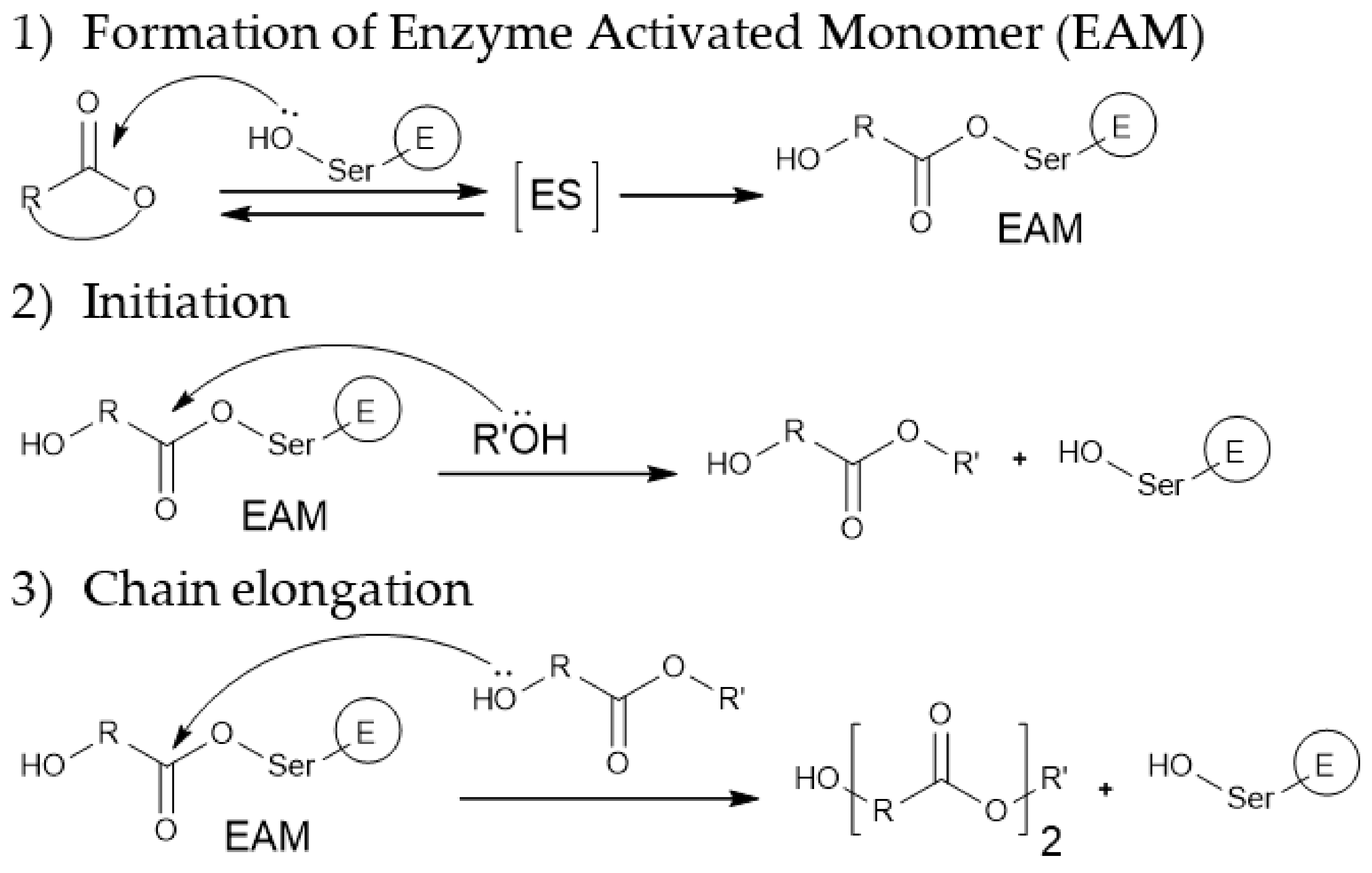 Molecules 26 02750 g008