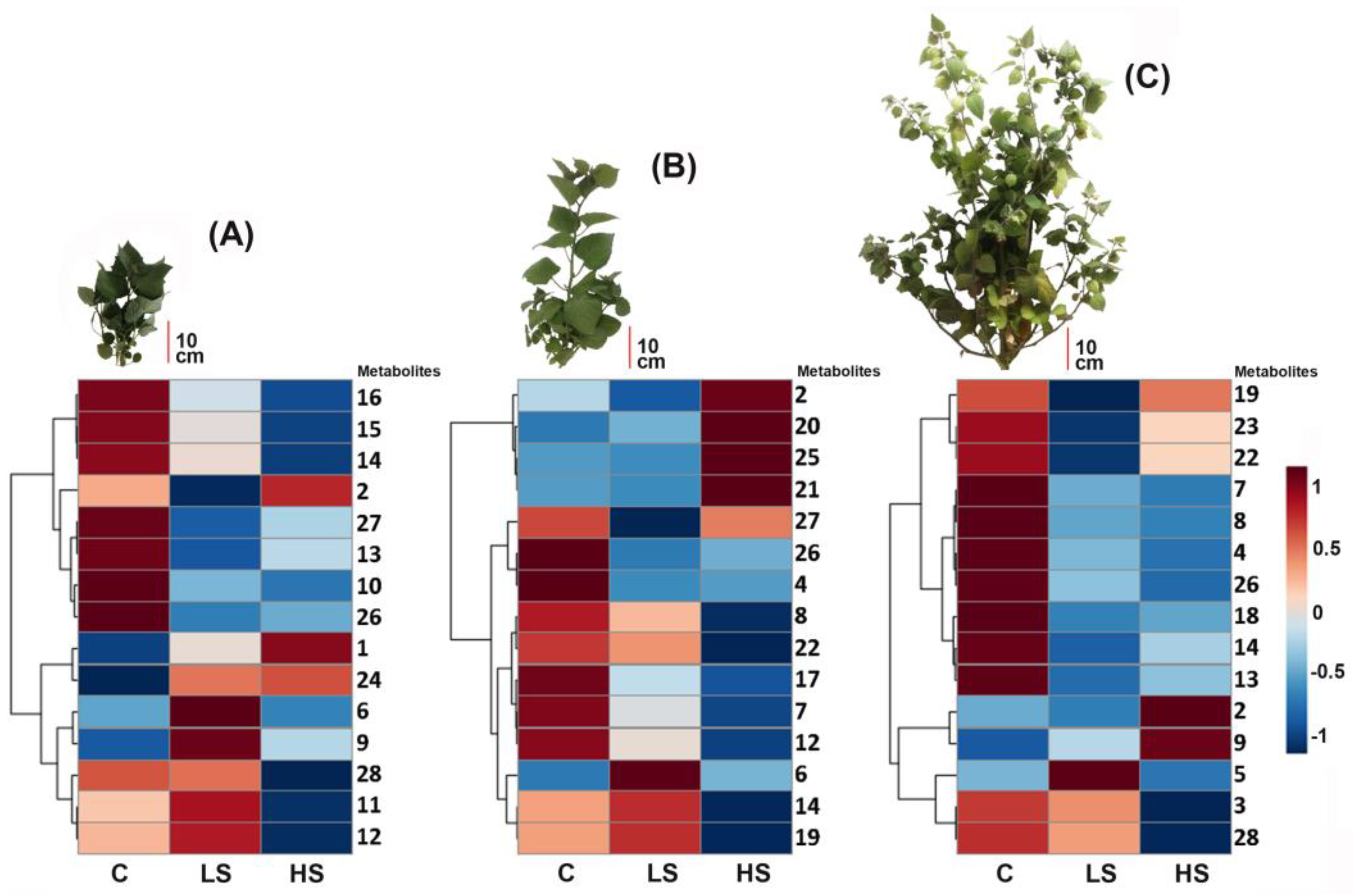 Molecules 26 02756 g002