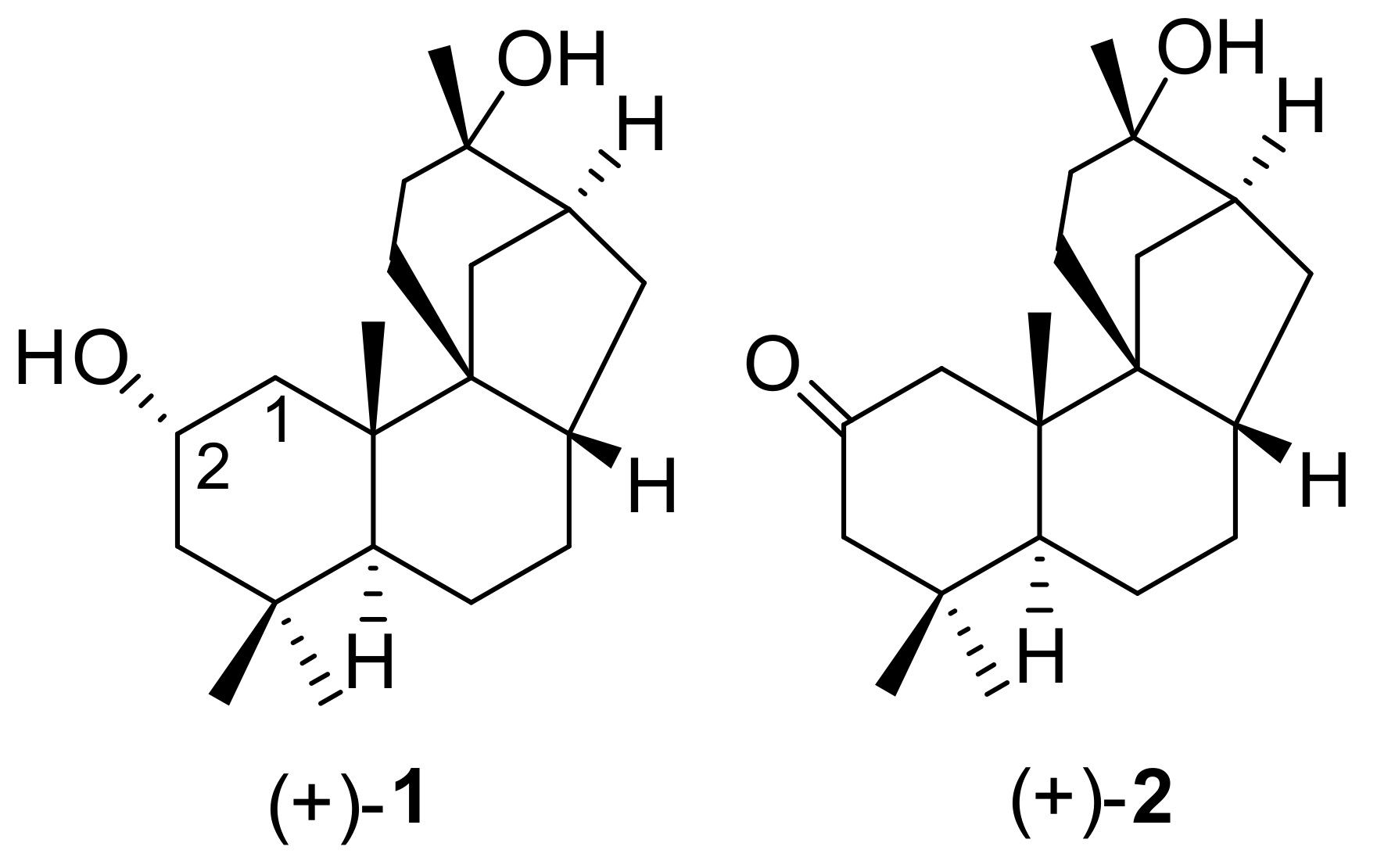 Molecules 26 02761 g002 Molecules 26 02761 g002