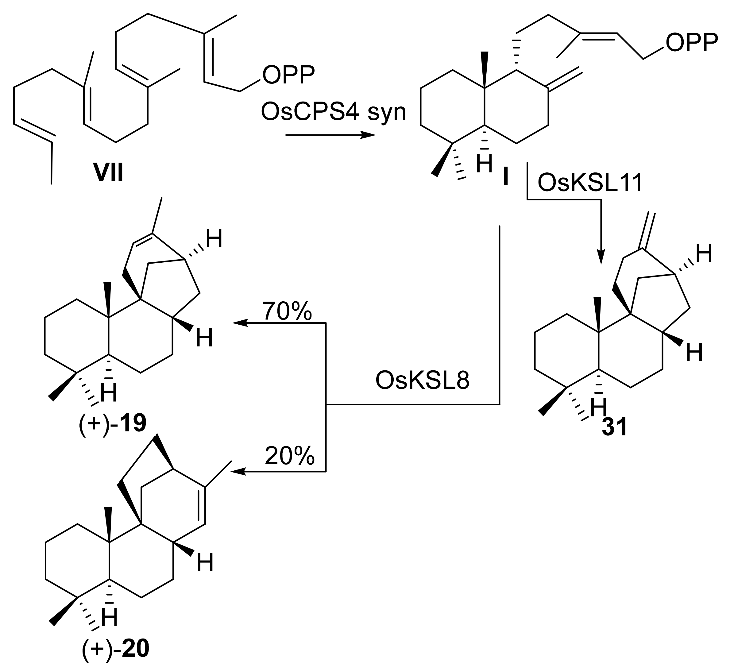 Molecules 26 02761 sch005 Molecules 26 02761 sch005