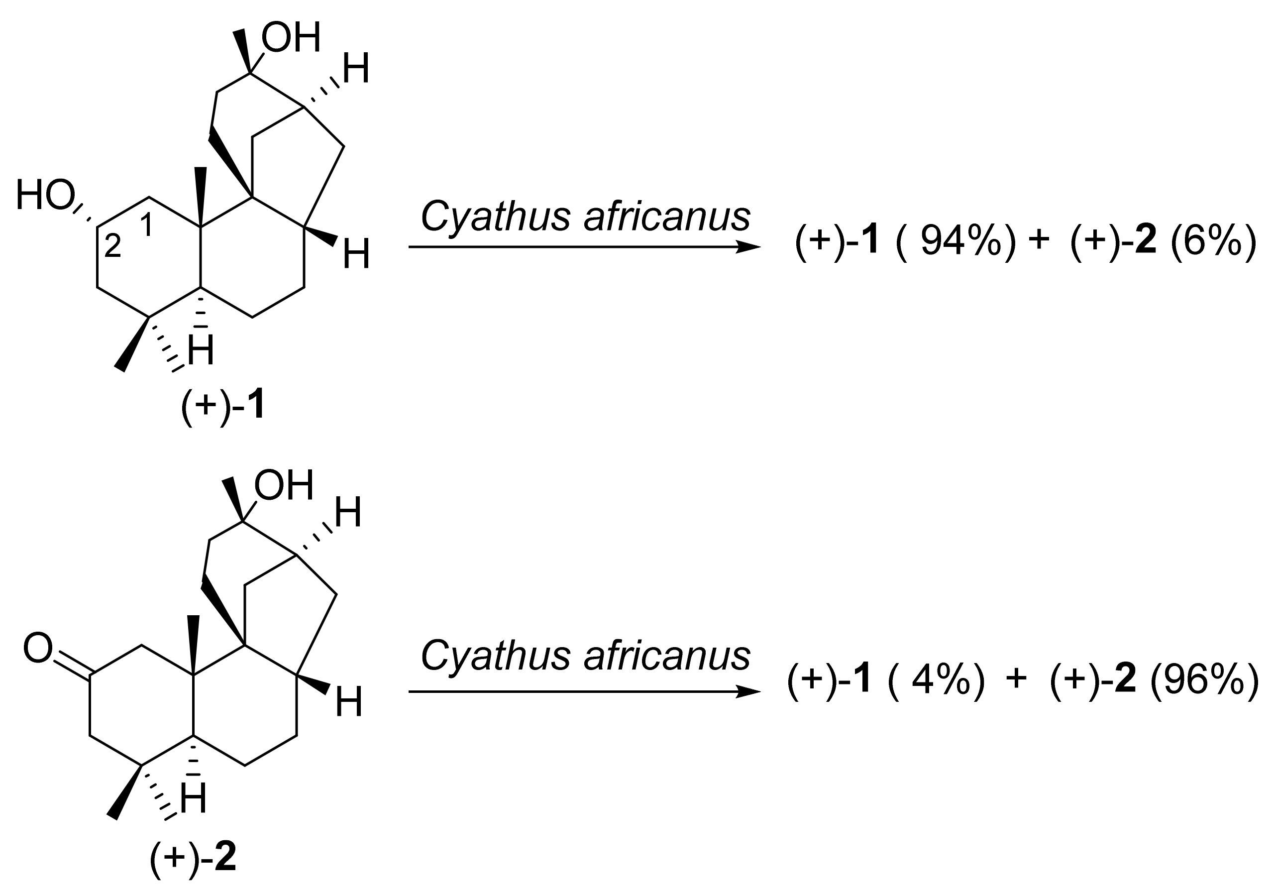 Molecules 26 02761 sch006 Molecules 26 02761 sch006