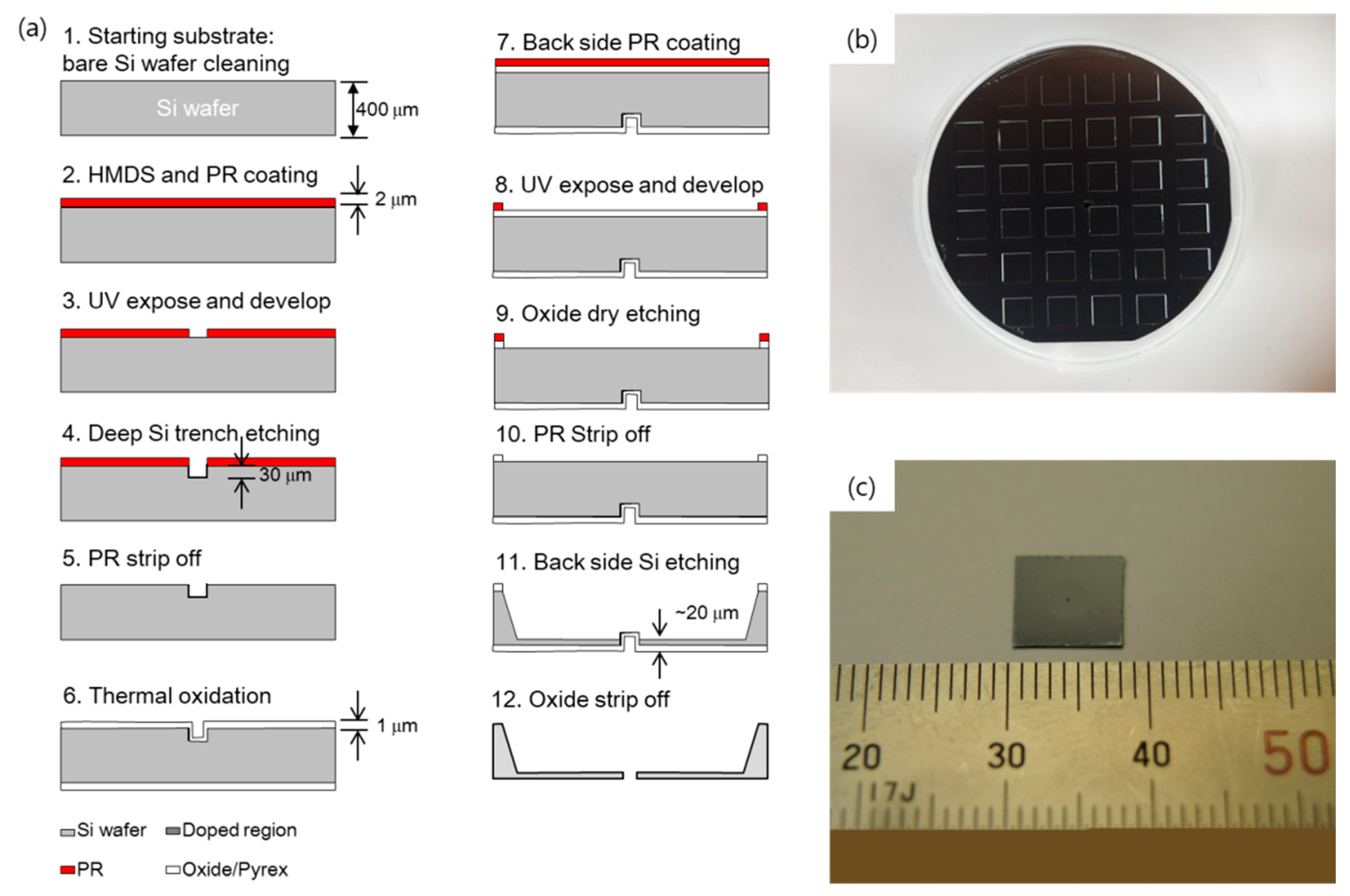 Molecules 26 02766 g006