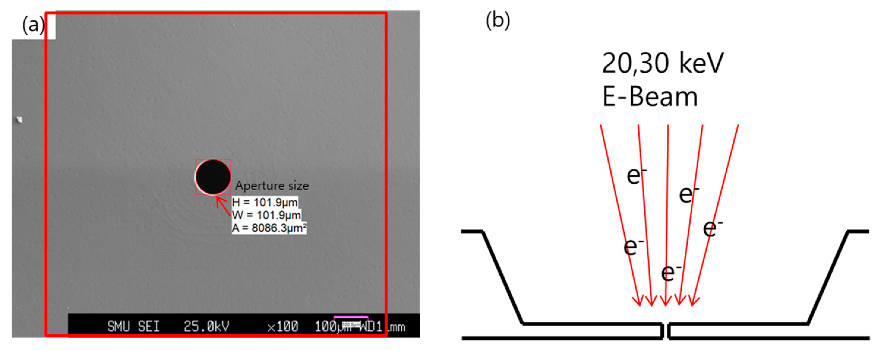 Molecules 26 02766 g007