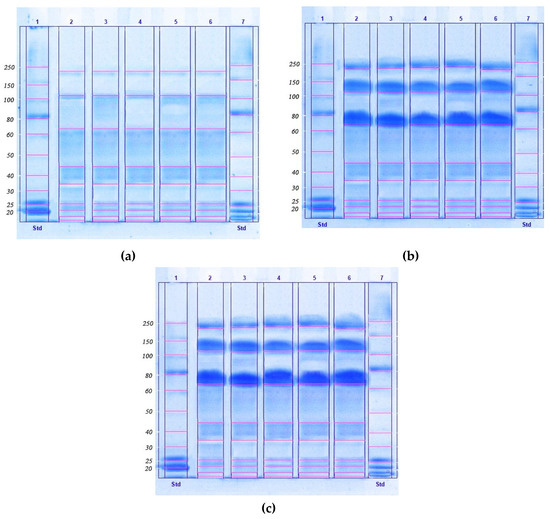 Molecules Free FullText Production, Purification, and Study of the