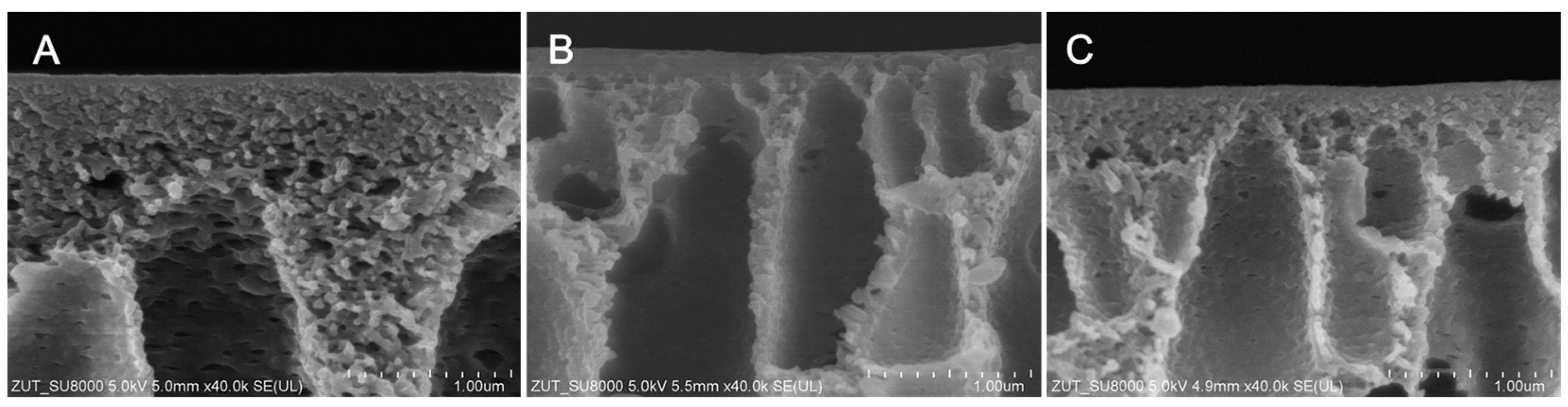 Molecules 26 02768 g002