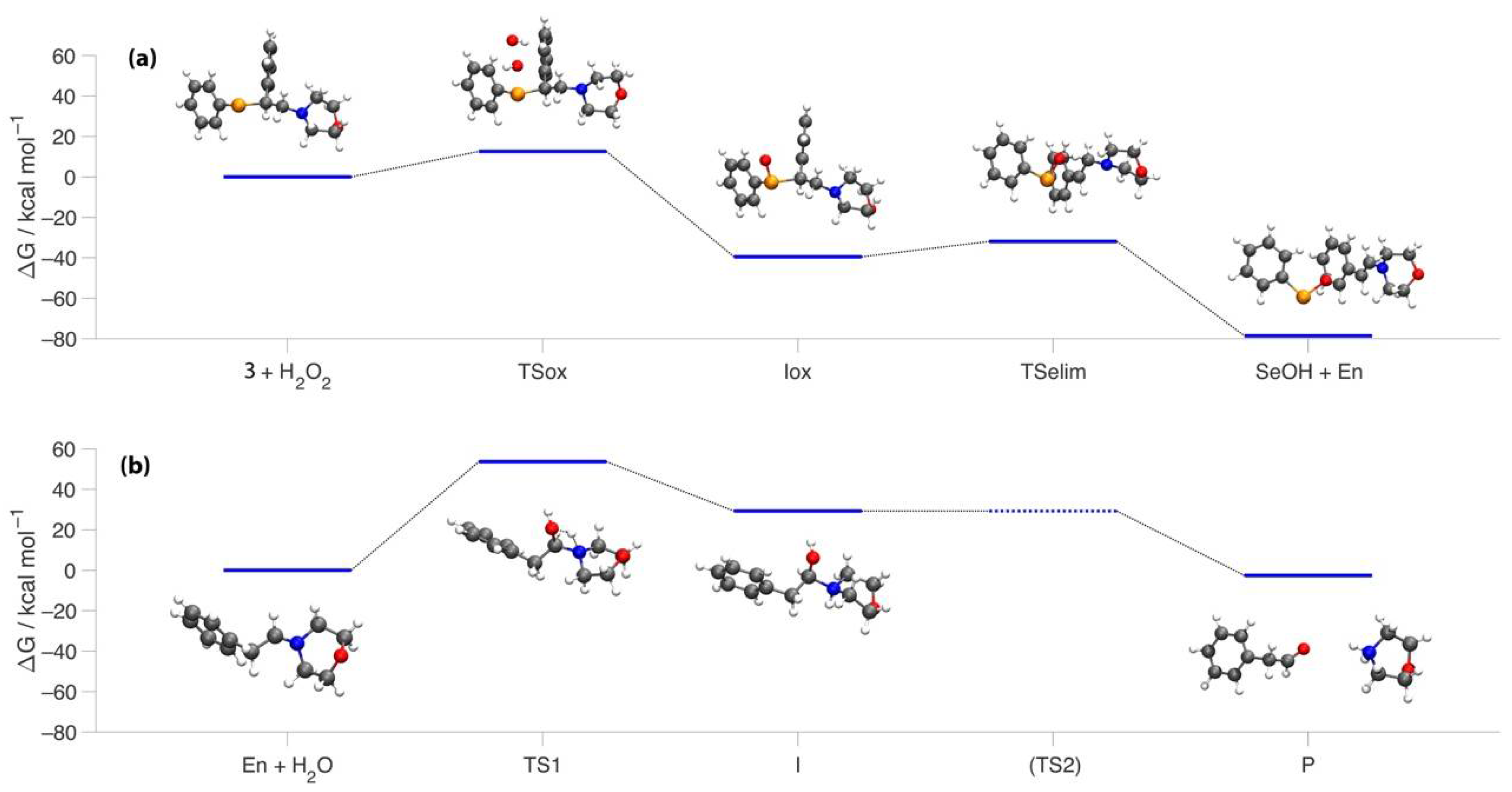 Molecules 26 02770 g001