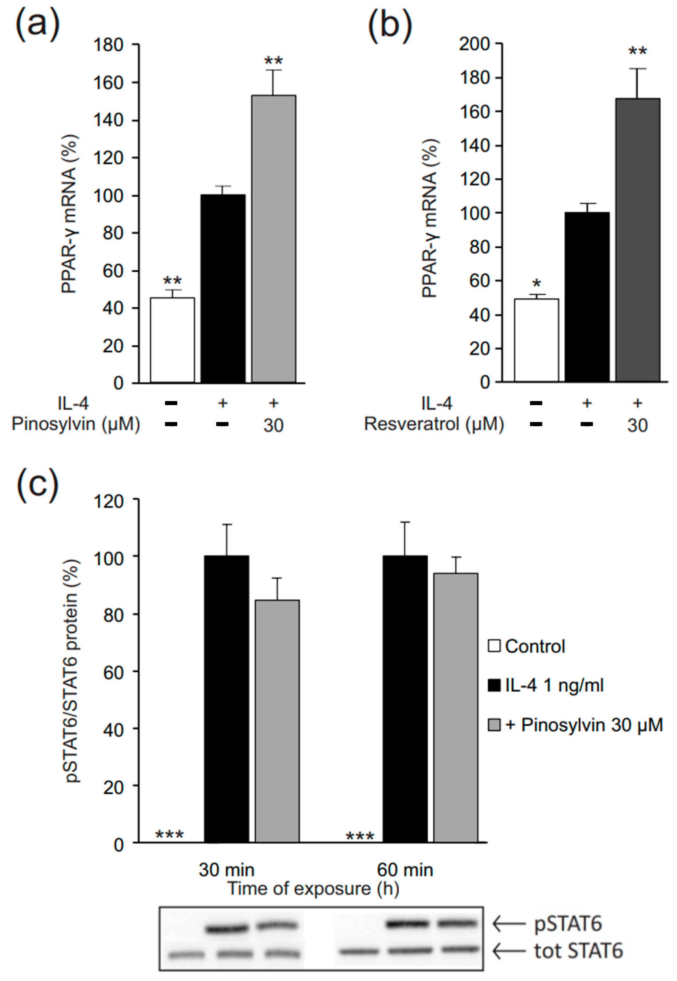 Molecules 26 02772 g005