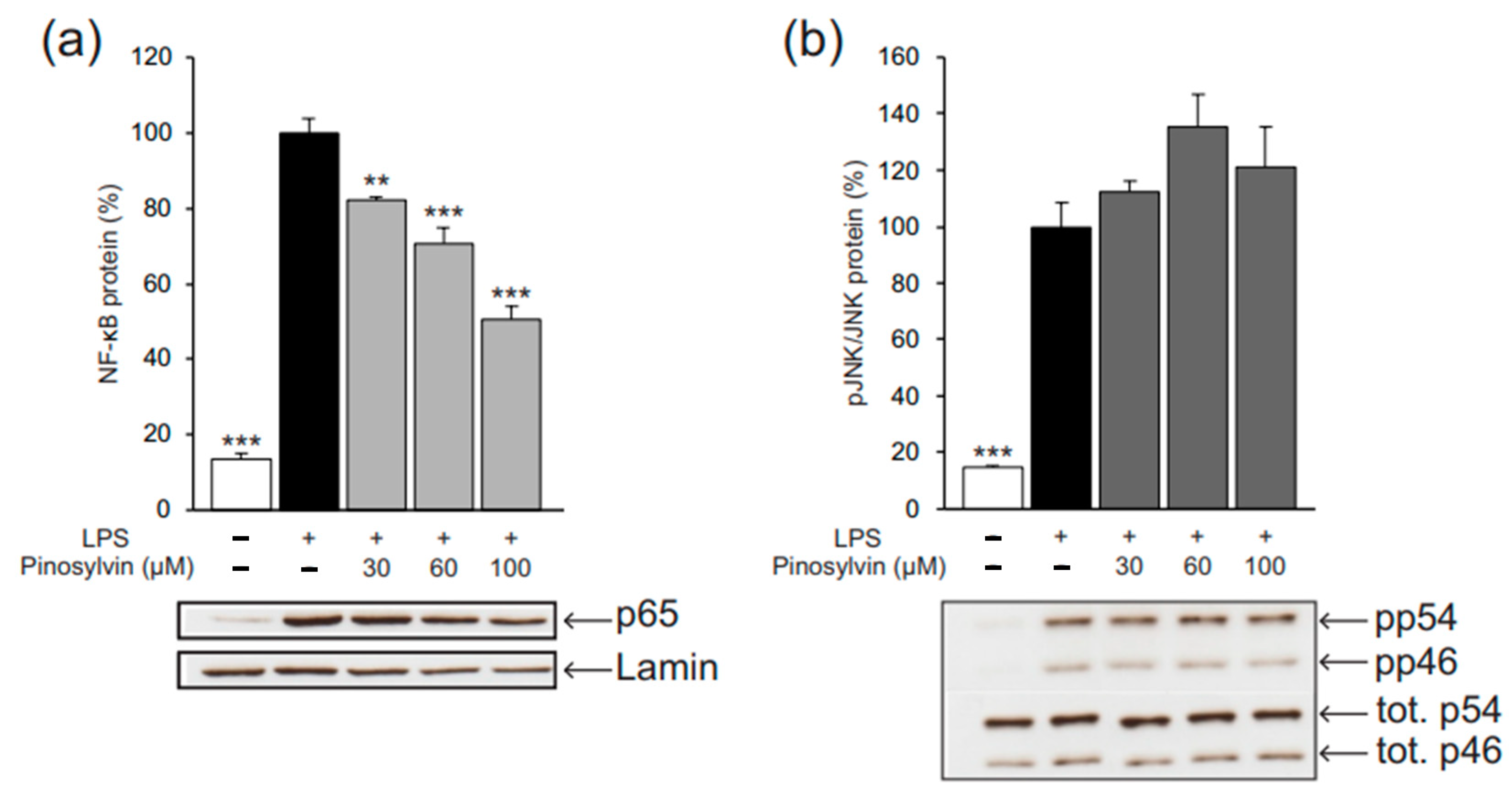 Molecules 26 02772 g007