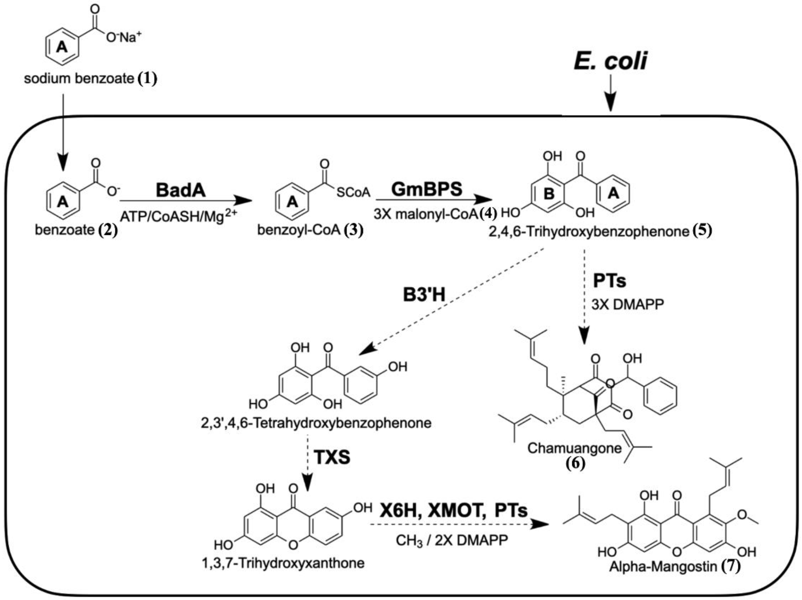 Molecules 26 02779 g001 Molecules 26 02779 g001