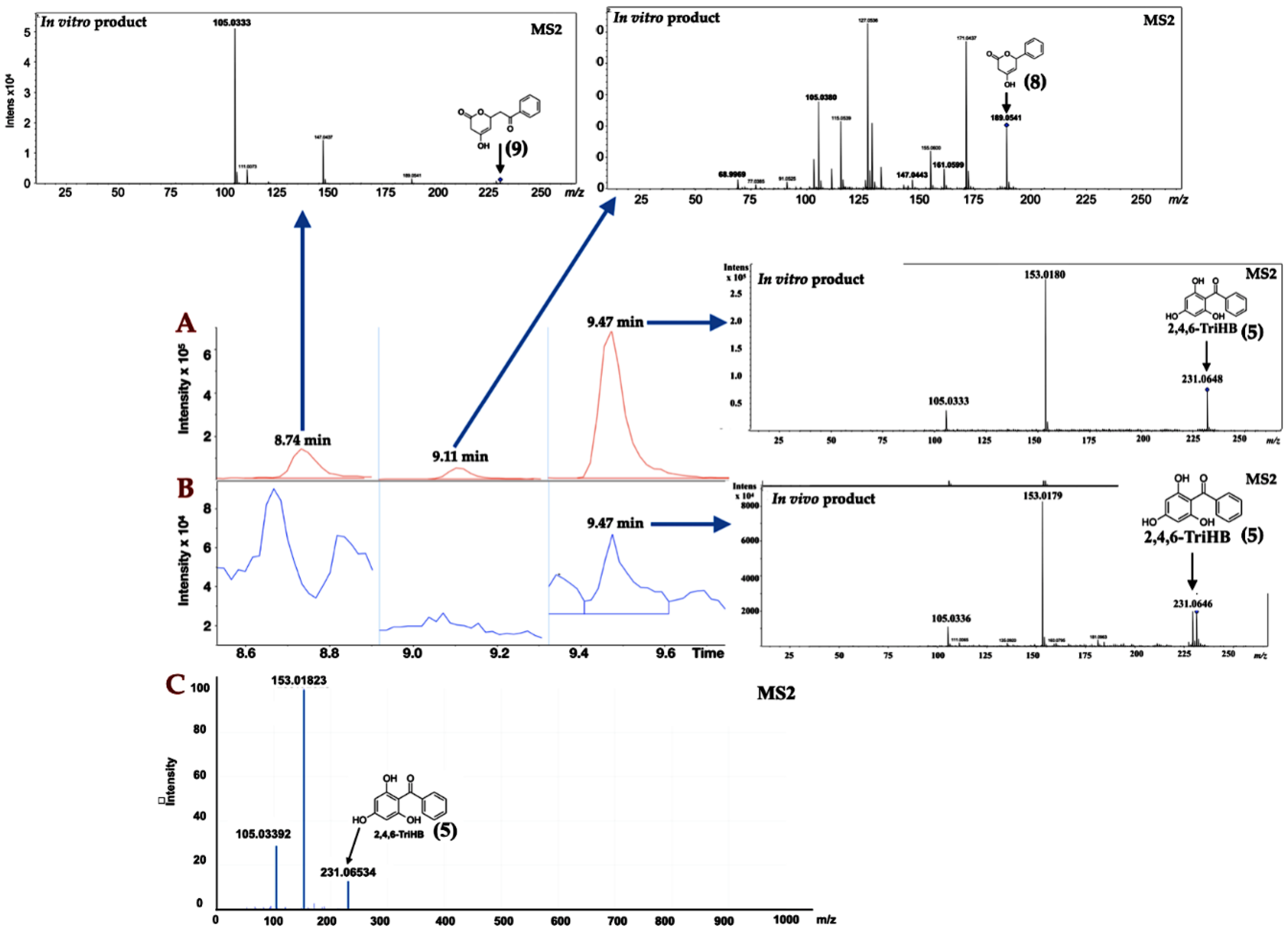 Molecules 26 02779 g002 Molecules 26 02779 g002