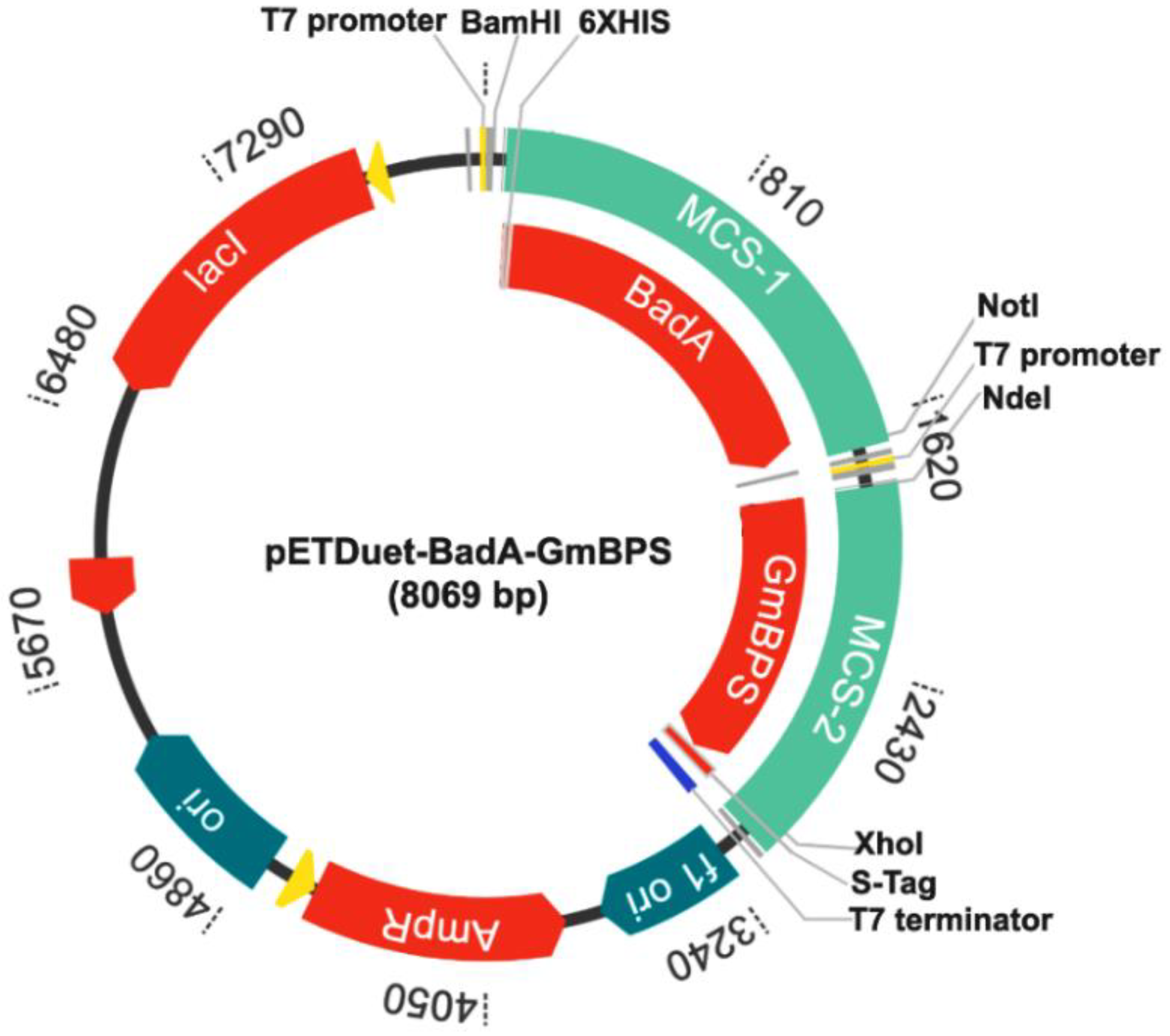 Molecules 26 02779 g008 Molecules 26 02779 g008