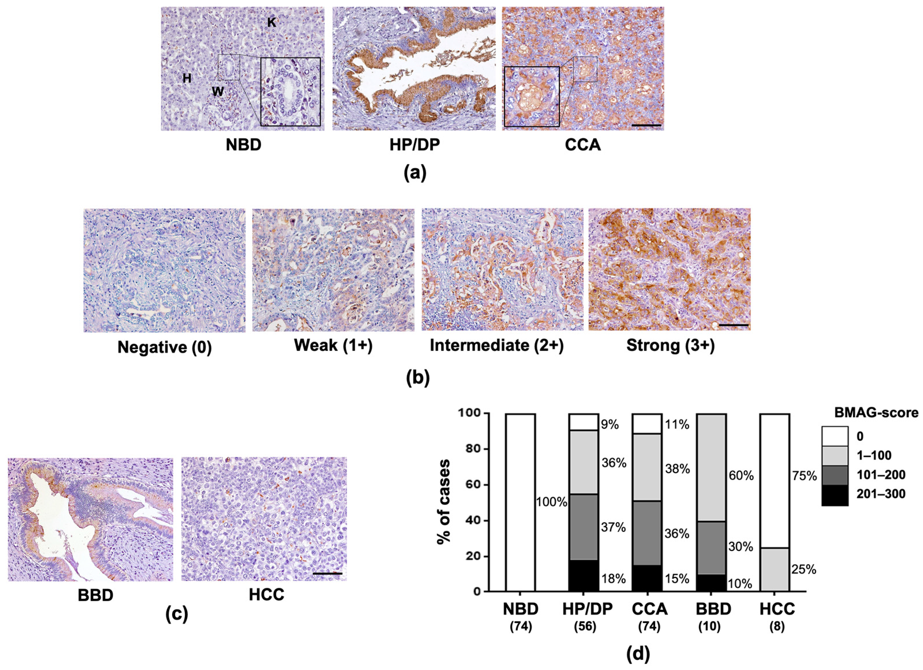 Molecules 26 02782 g001