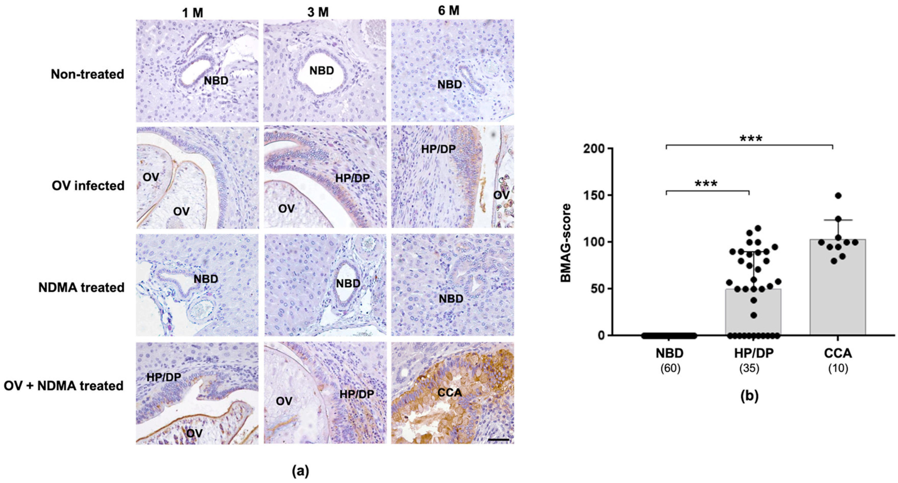 Molecules 26 02782 g002