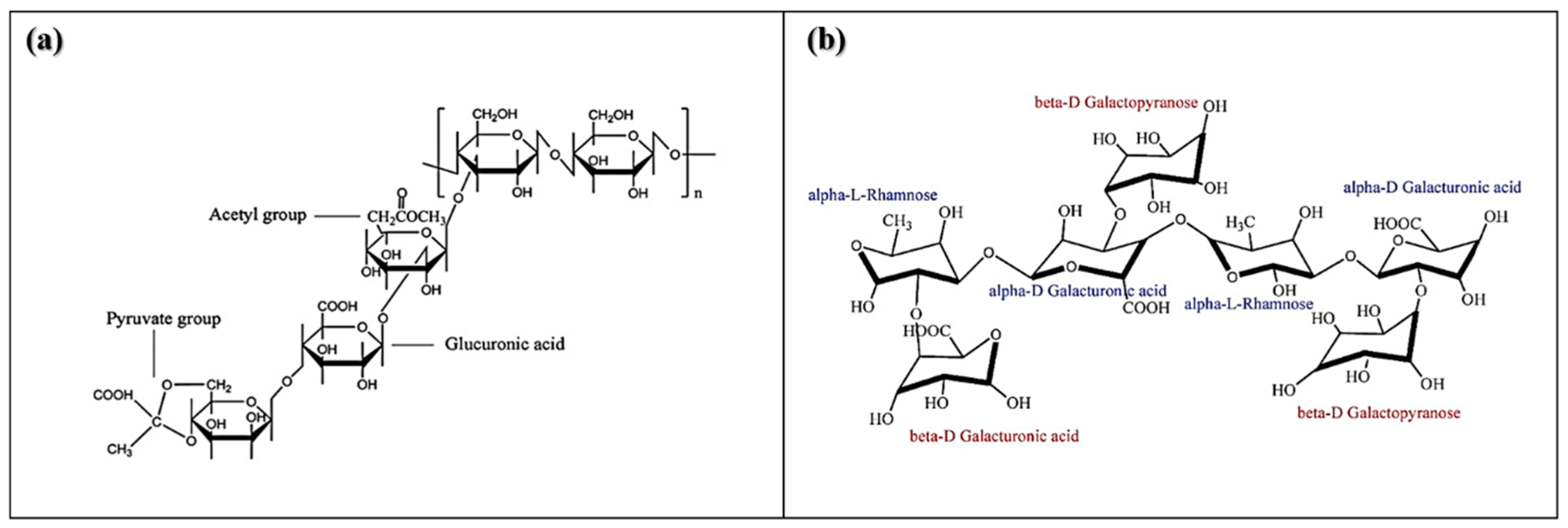 Molecules 26 02788 g001