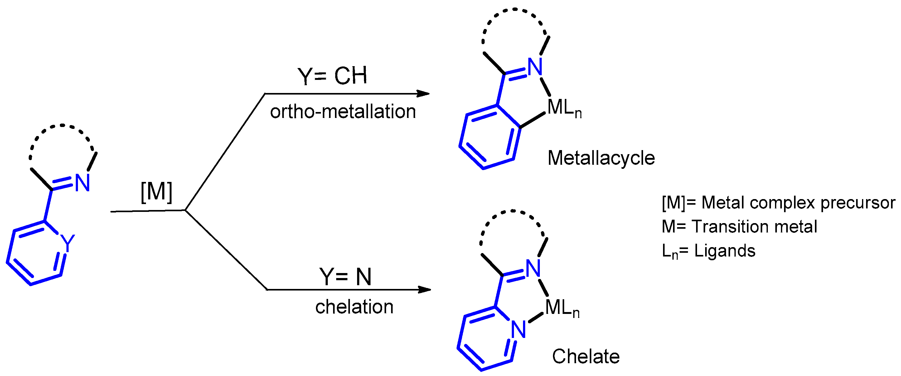 Molecules 26 02796 g003