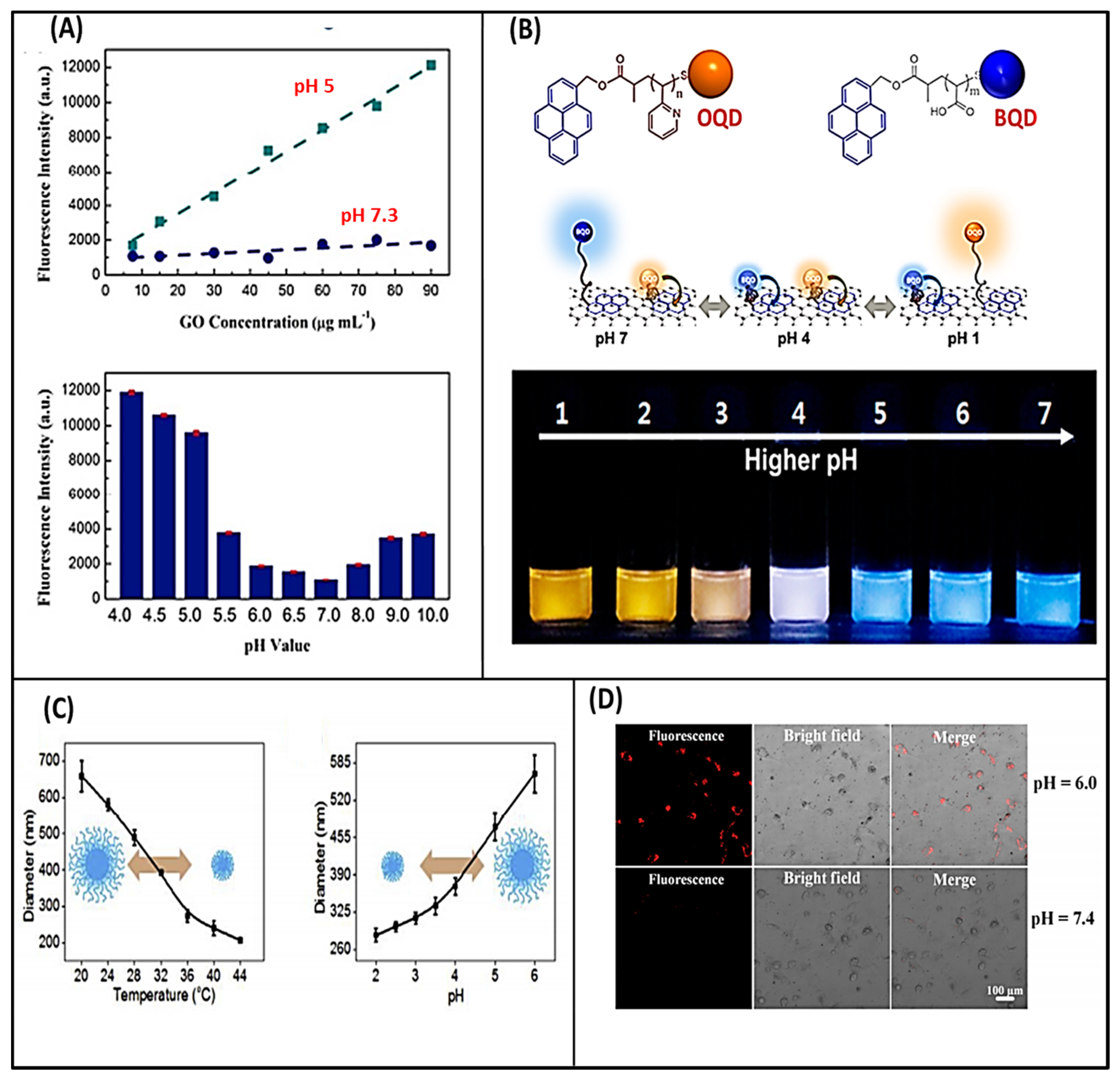 Molecules 26 02797 g002 Molecules 26 02797 g002