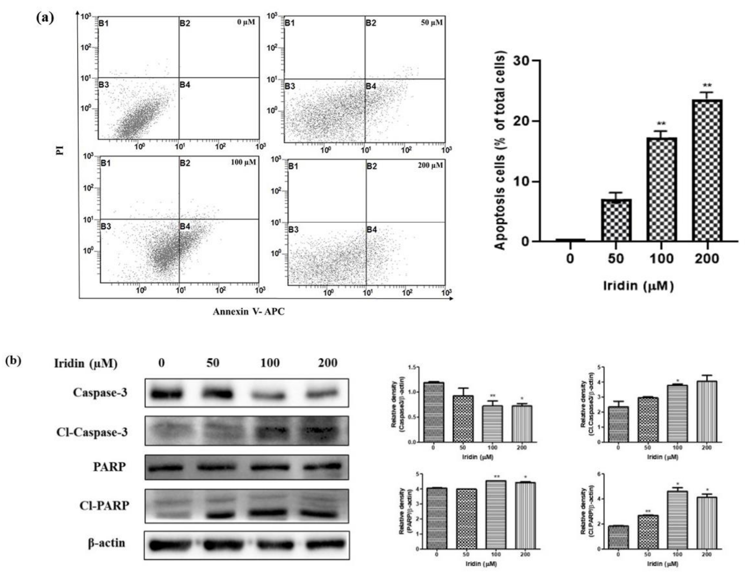 Molecules 26 02802 g003 Molecules 26 02802 g003