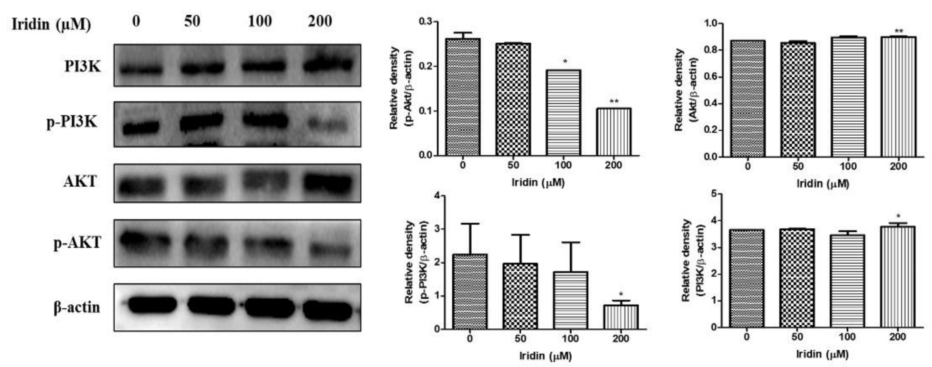 Molecules 26 02802 g005 Molecules 26 02802 g005
