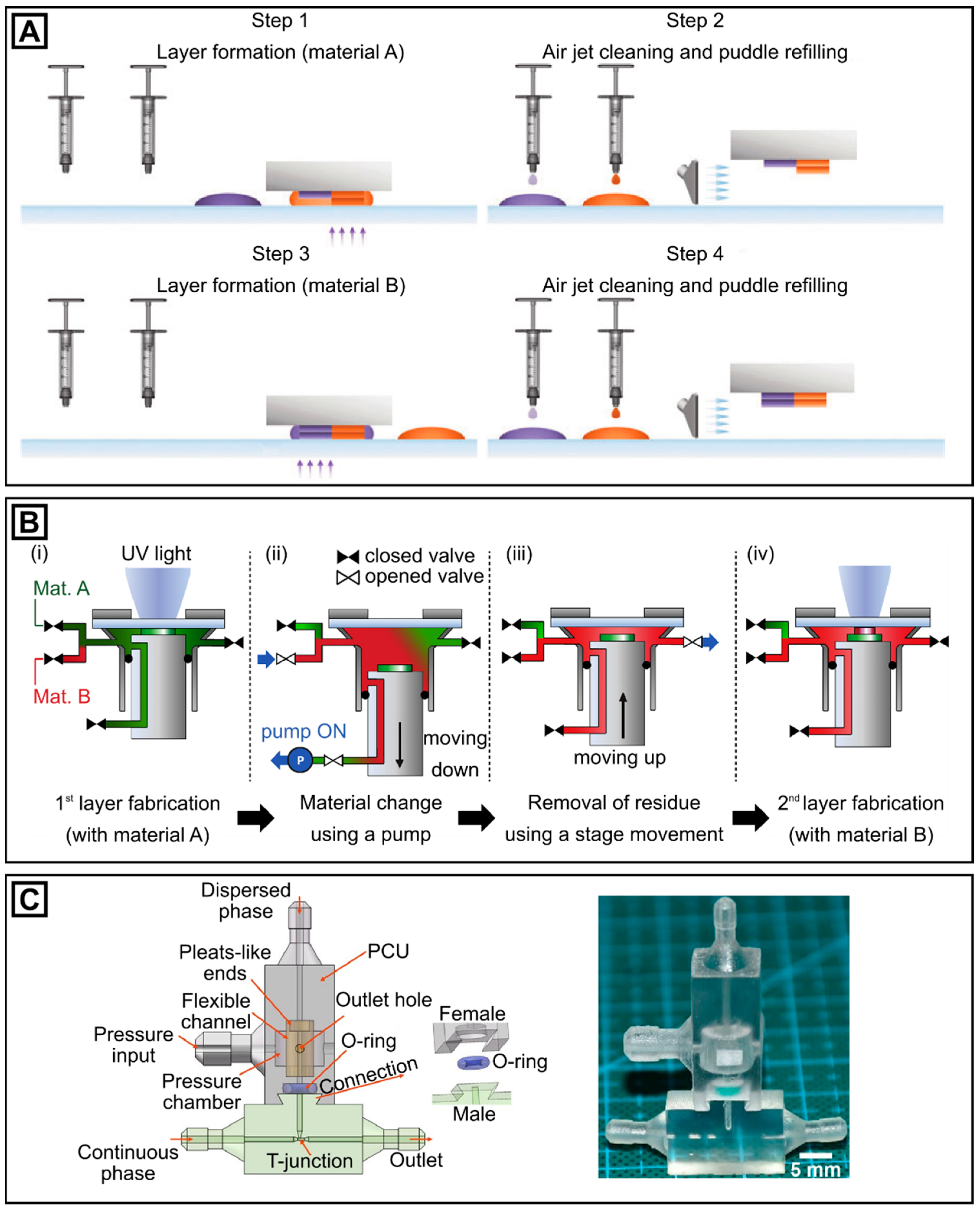 Molecules 26 02817 g002 Molecules 26 02817 g002