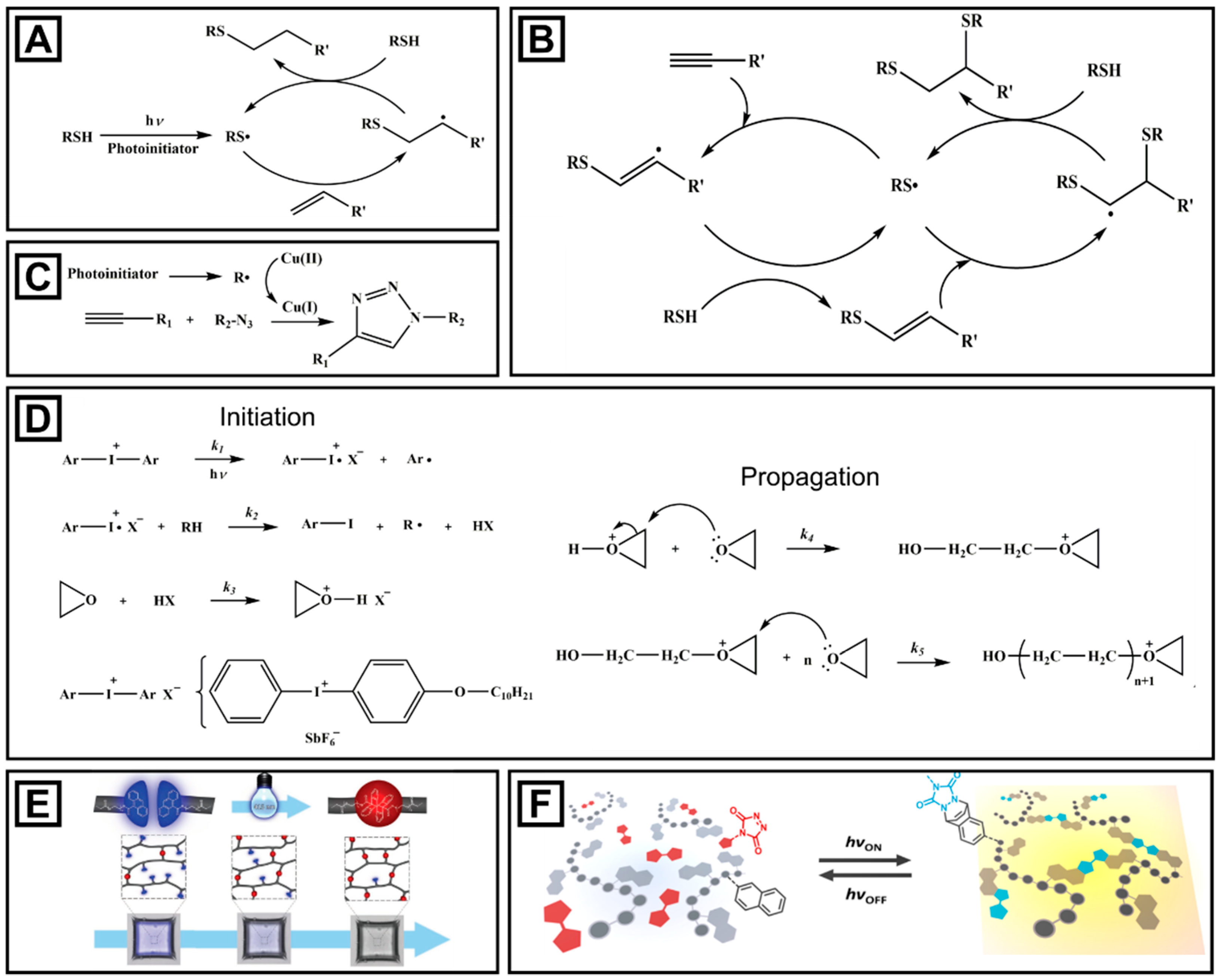 Molecules 26 02817 g003 Molecules 26 02817 g003