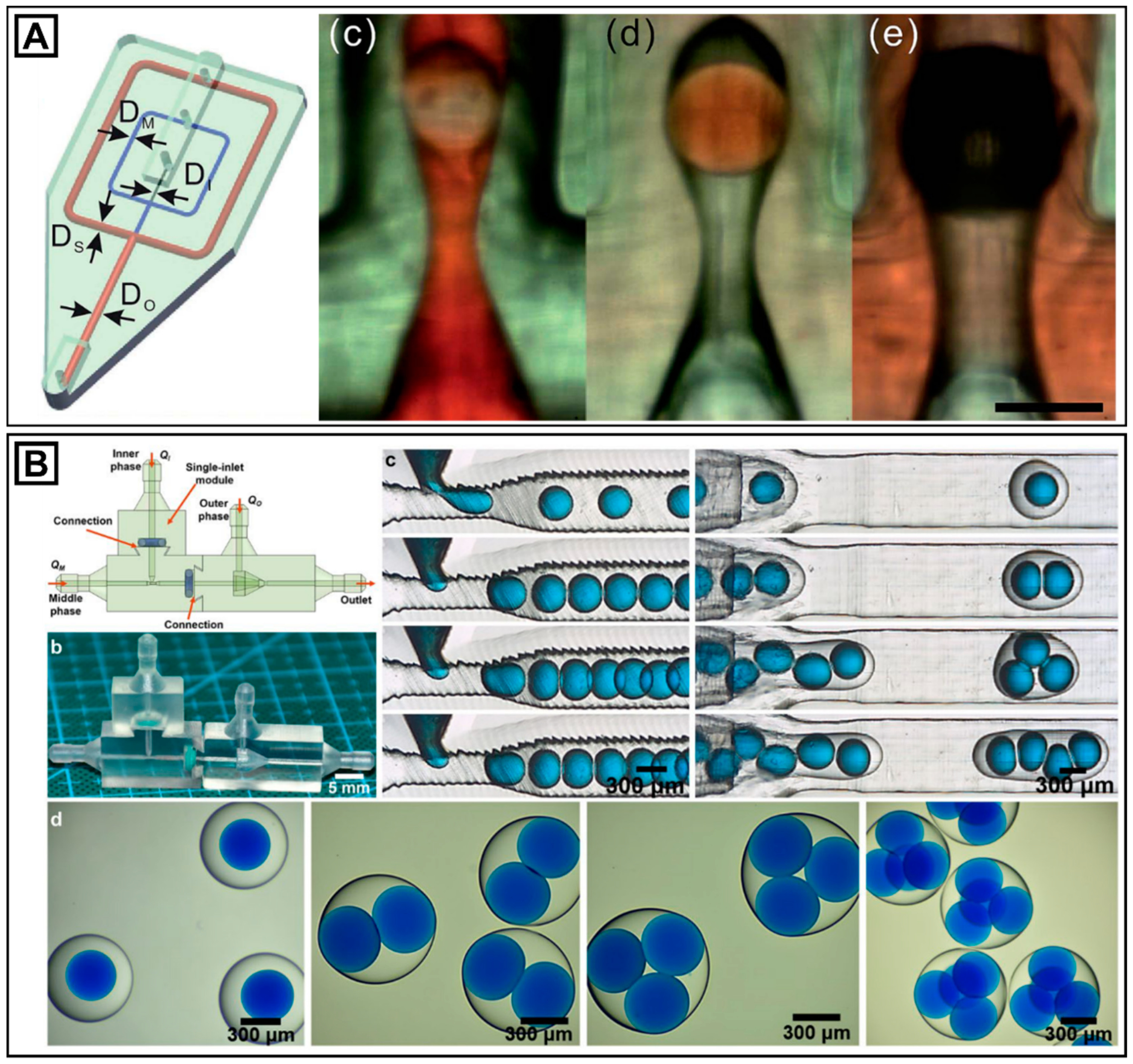 Molecules 26 02817 g005 Molecules 26 02817 g005