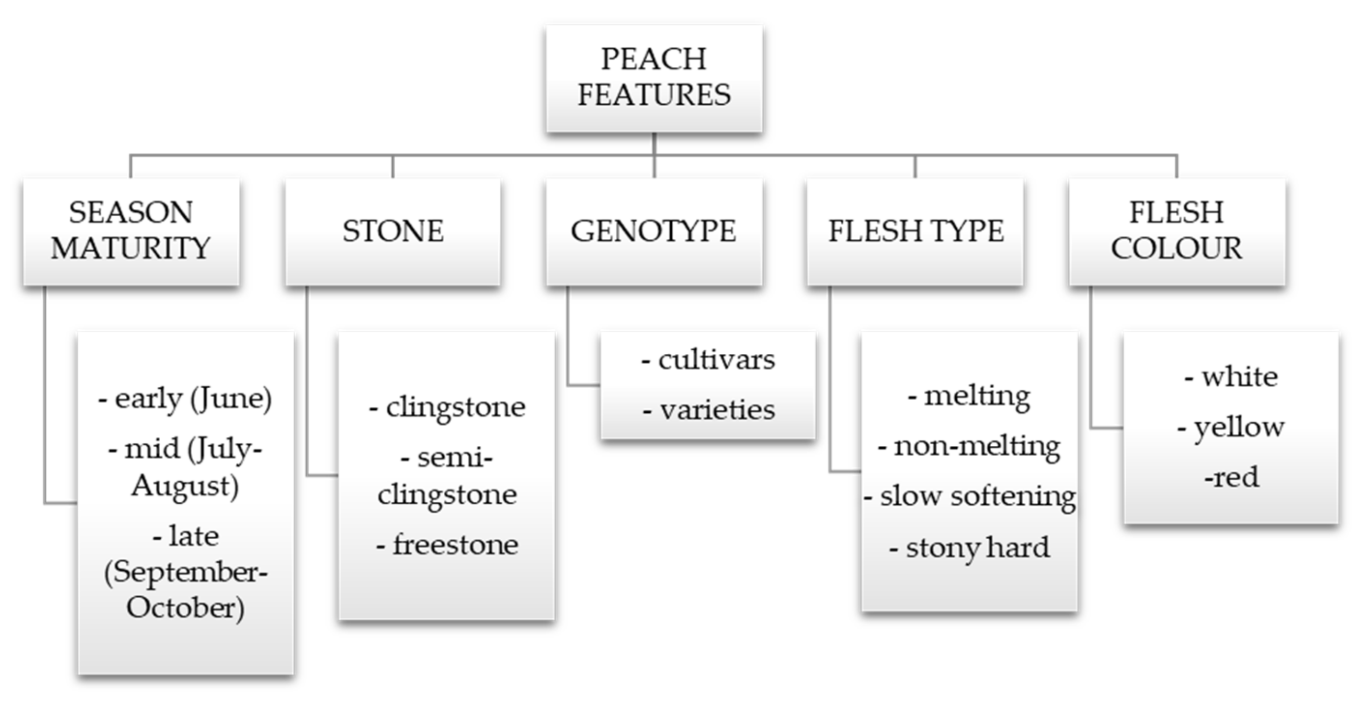 Molecules 26 02818 g001