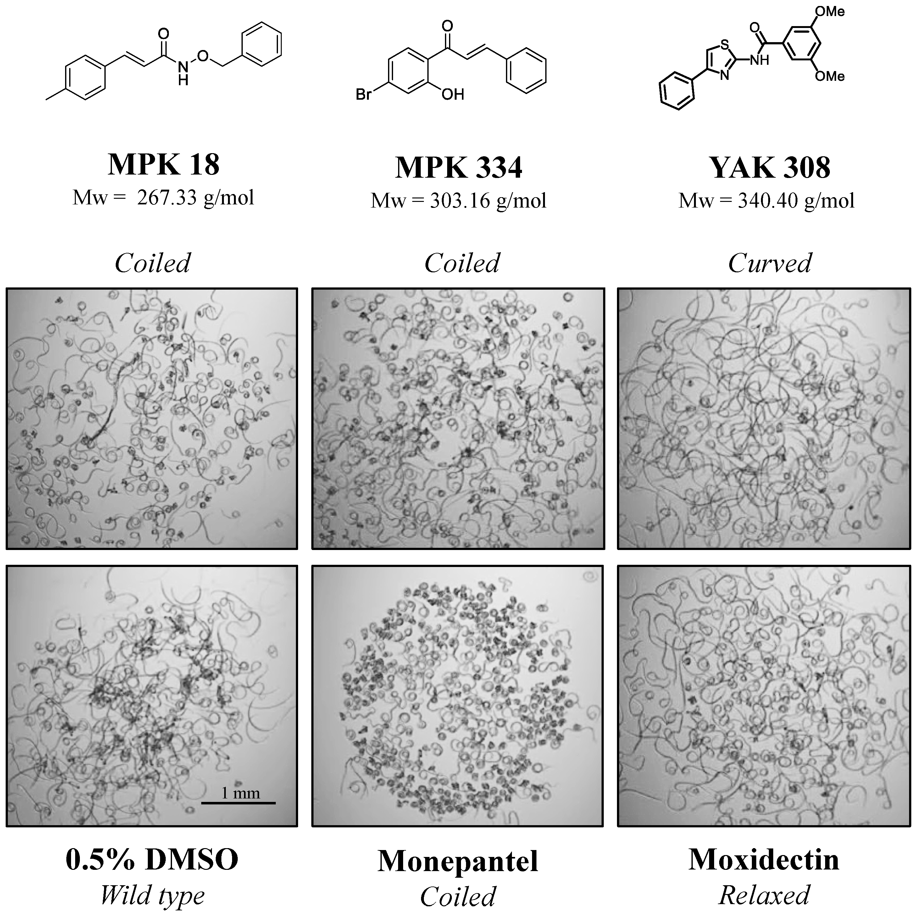 Molecules 26 02819 g001