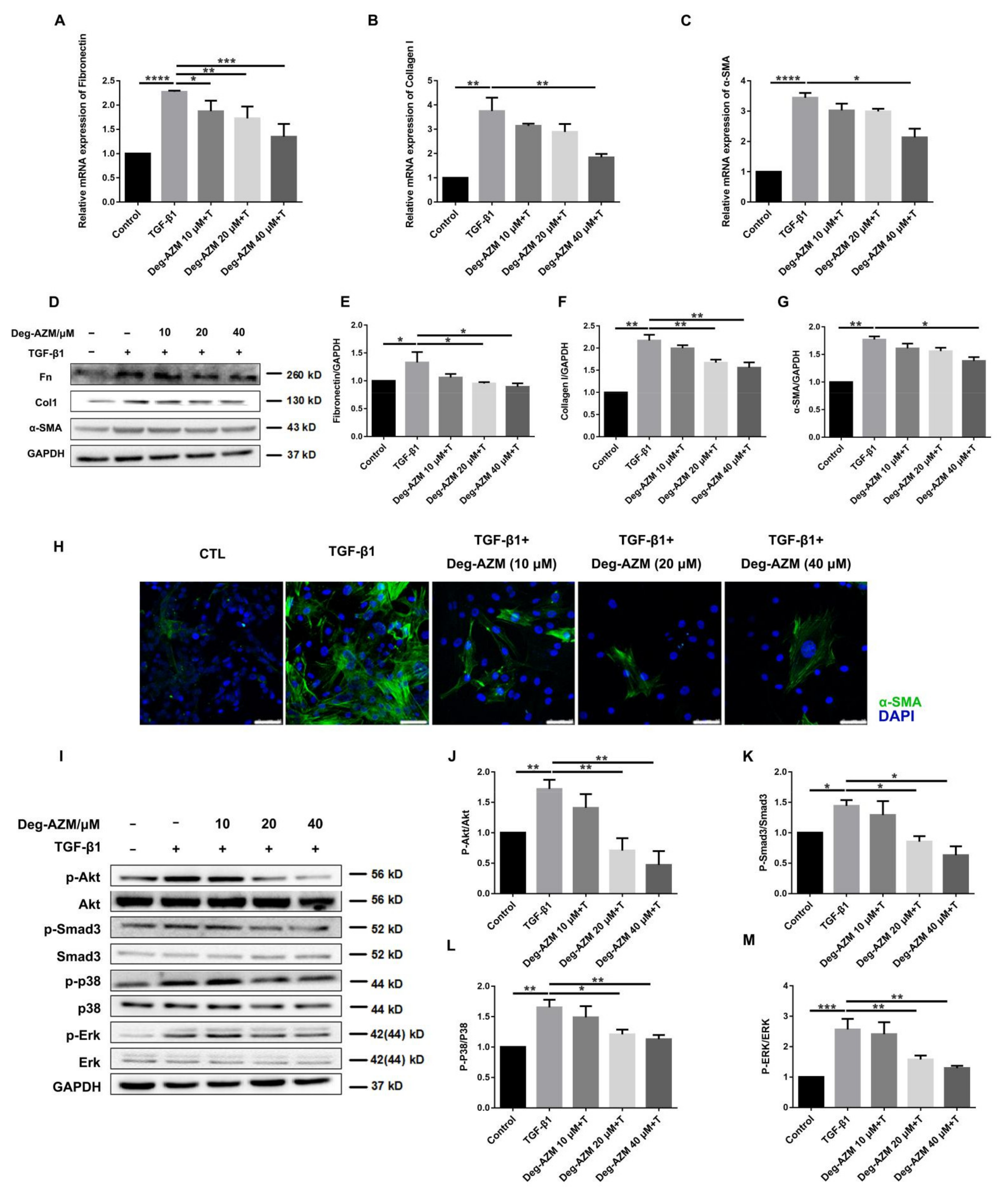 Molecules 26 02820 g005