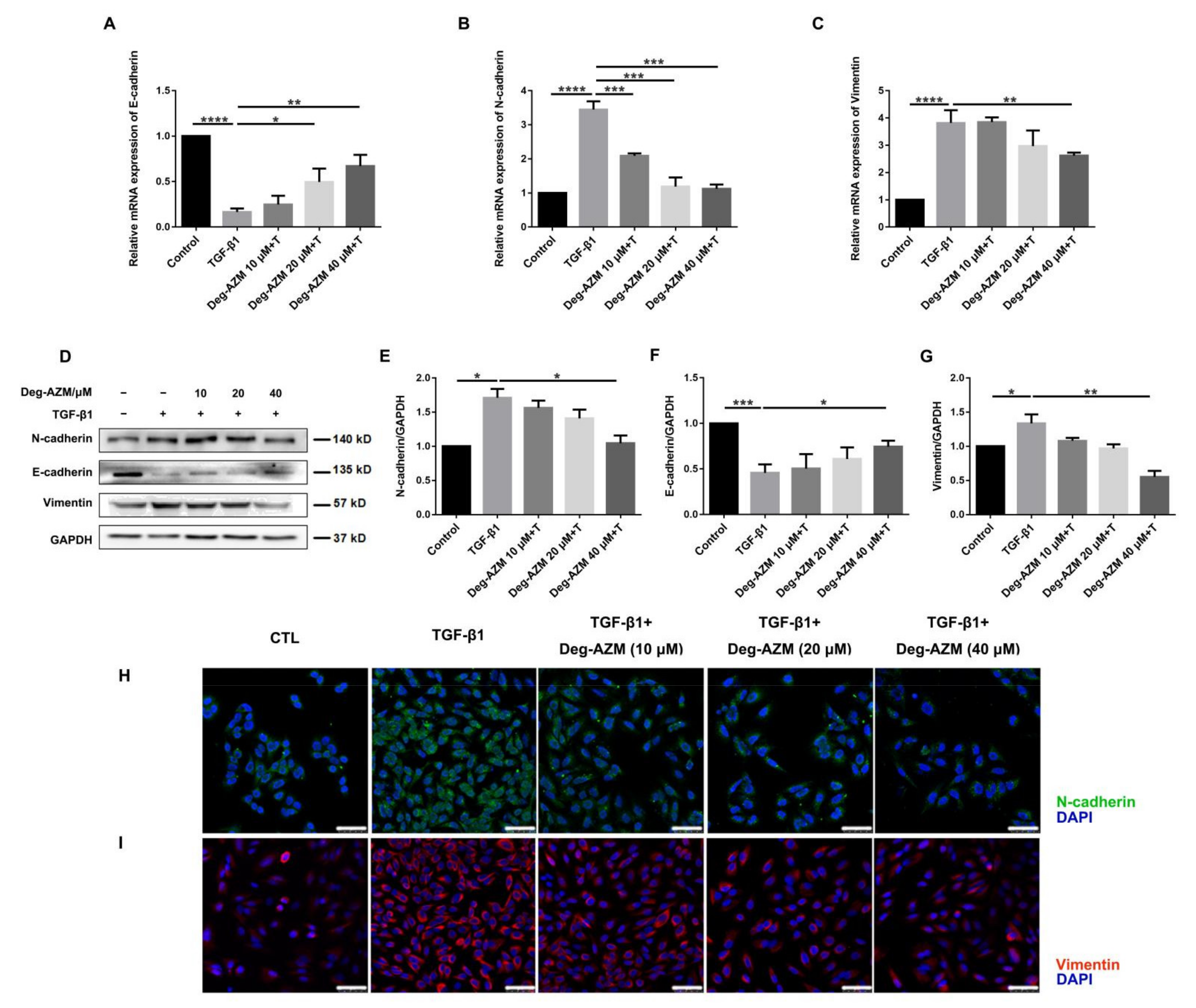 Molecules 26 02820 g006