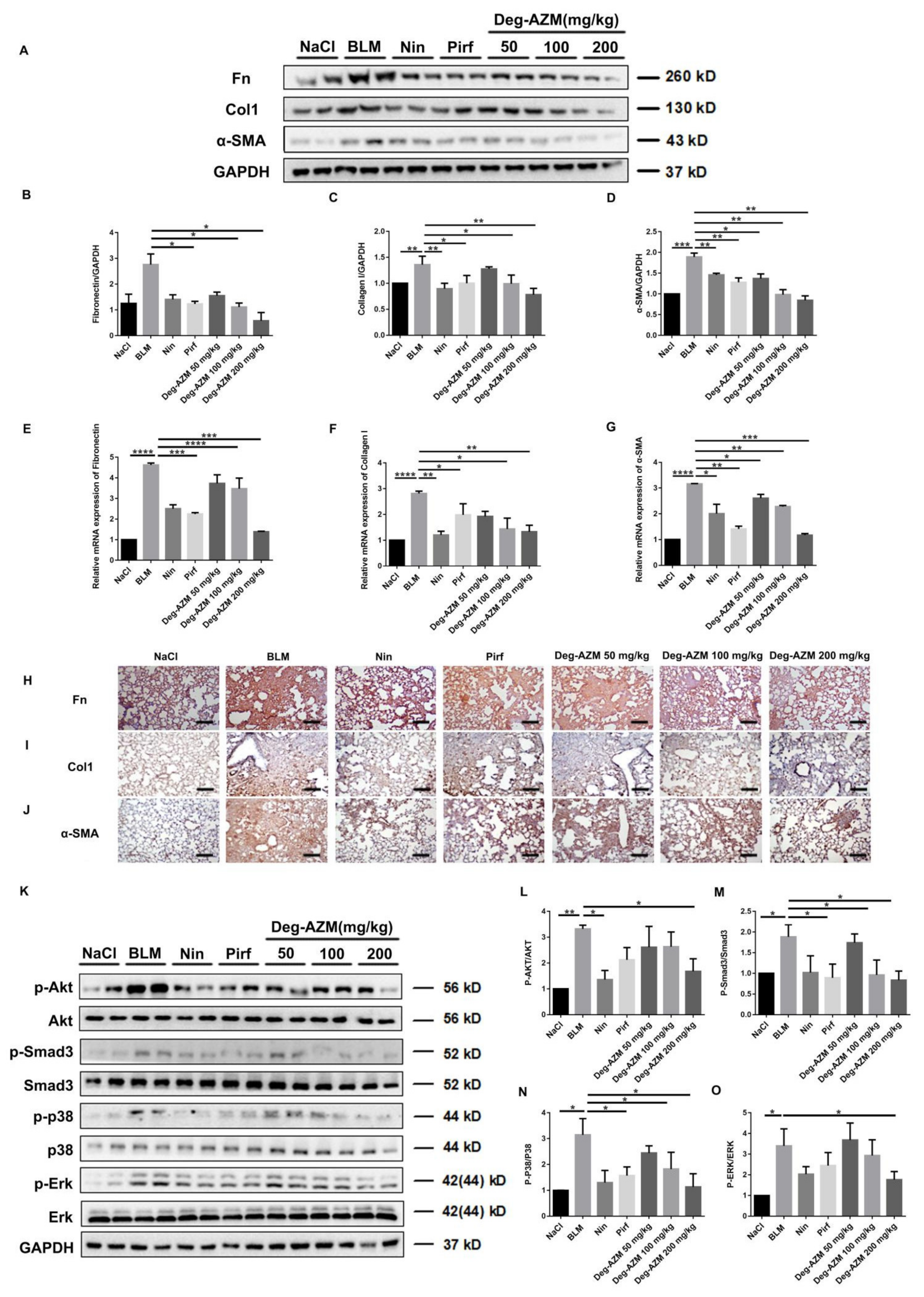 Molecules 26 02820 g007