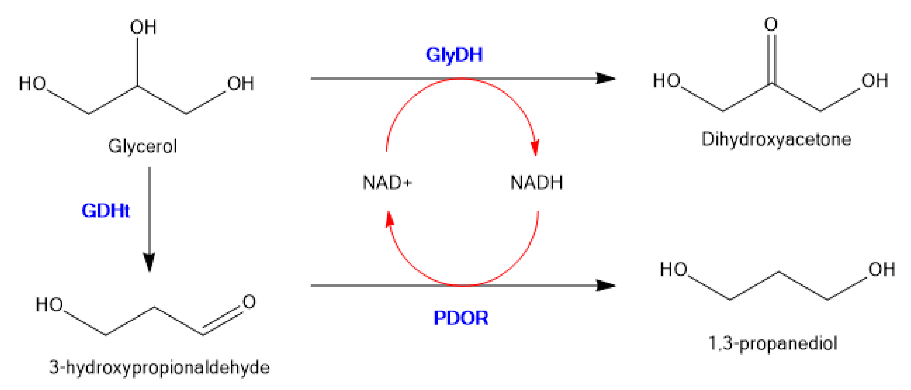 Molecules 26 02822 g008