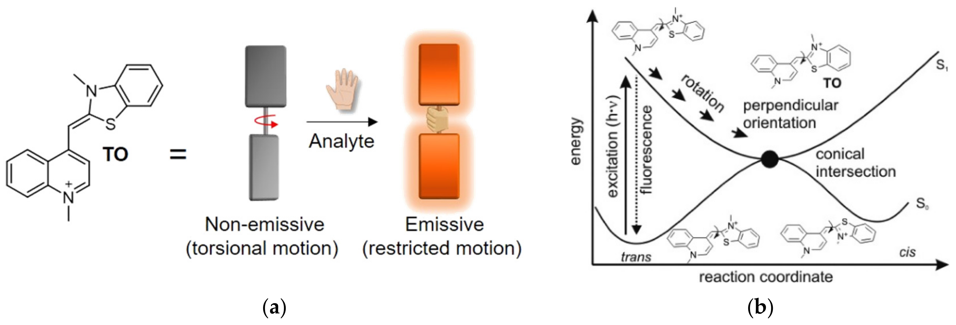 Molecules 26 02828 g001