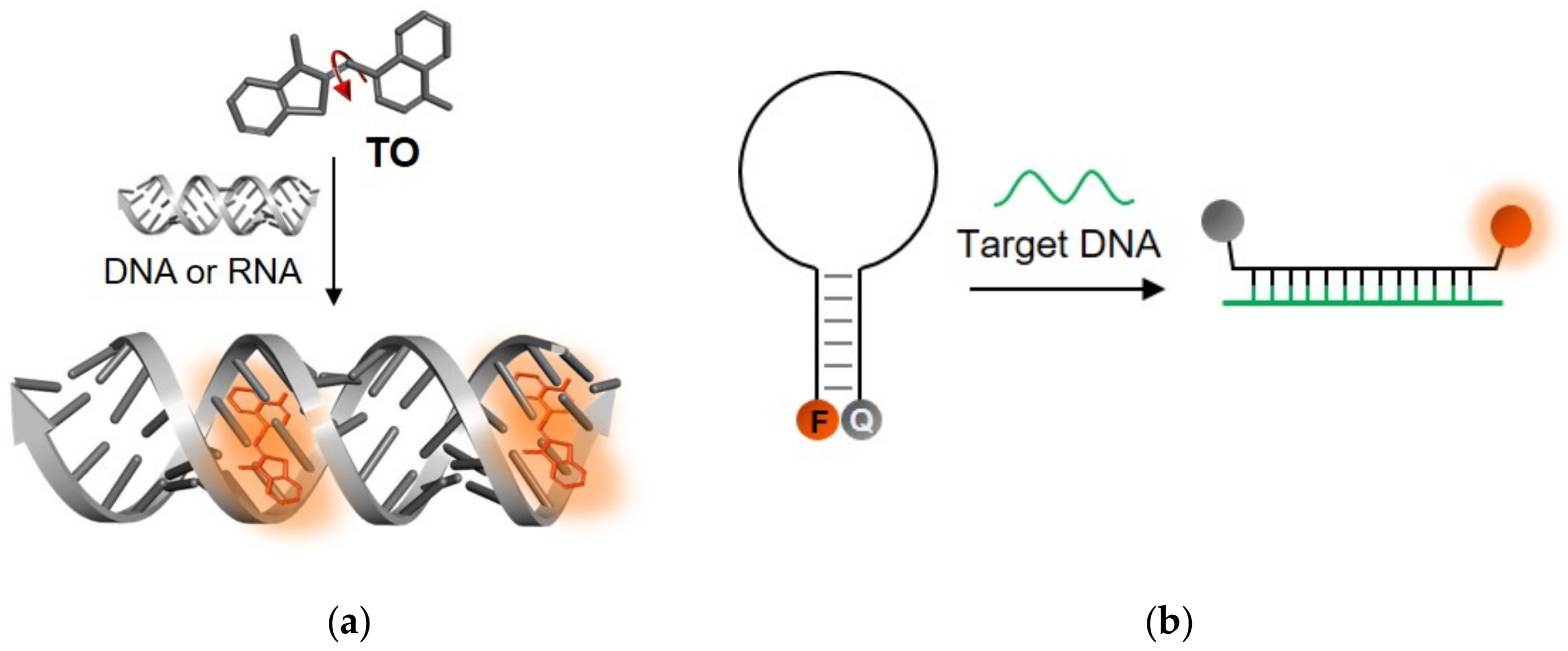 Molecules 26 02828 g002