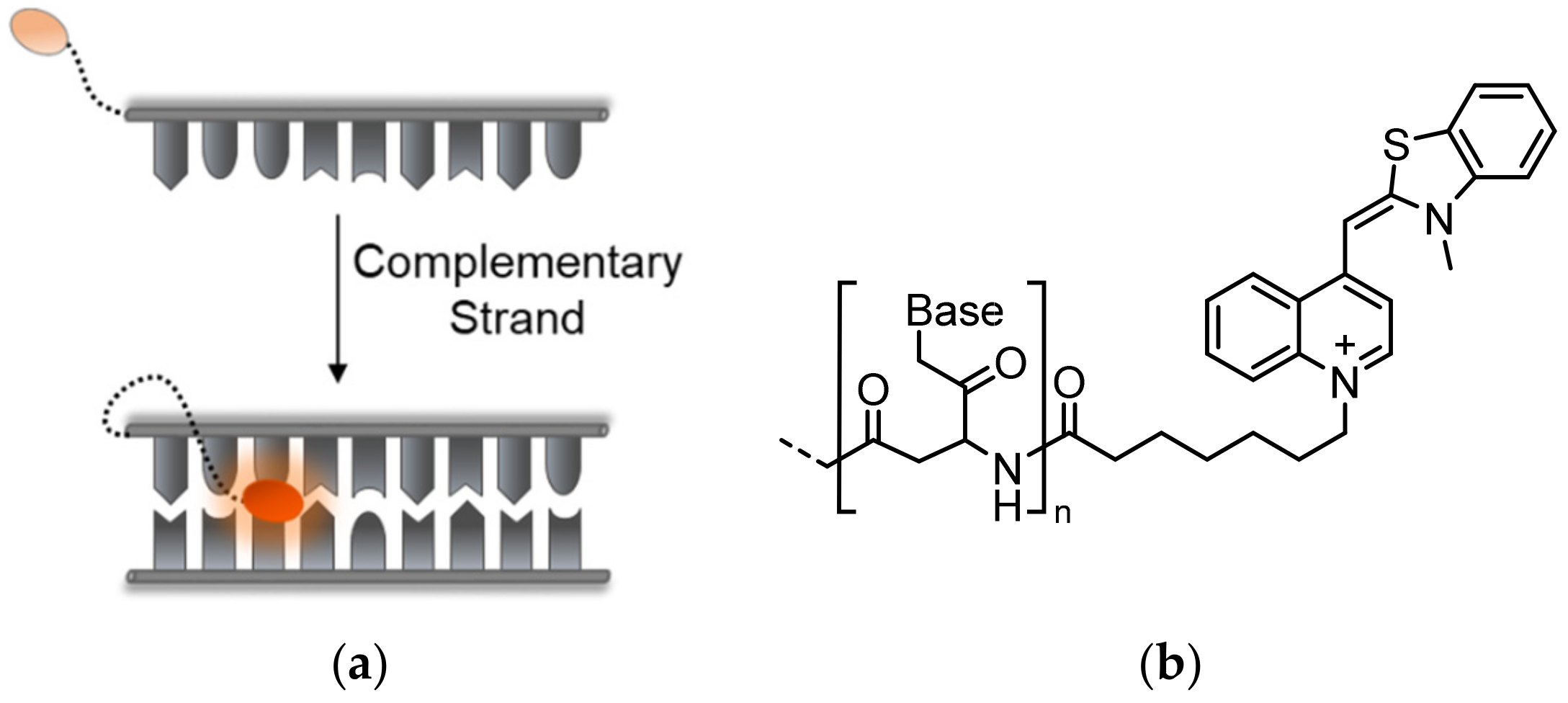 Molecules 26 02828 g003