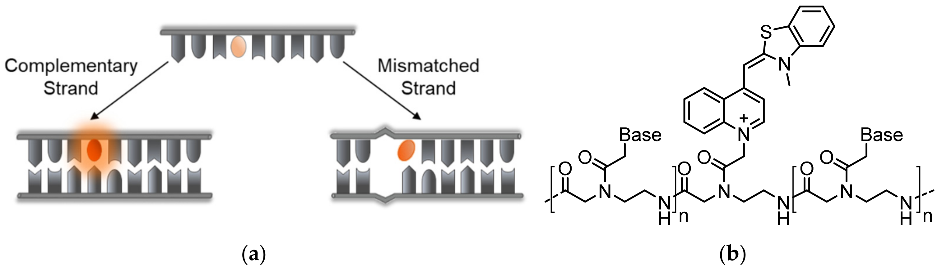 Molecules 26 02828 g004