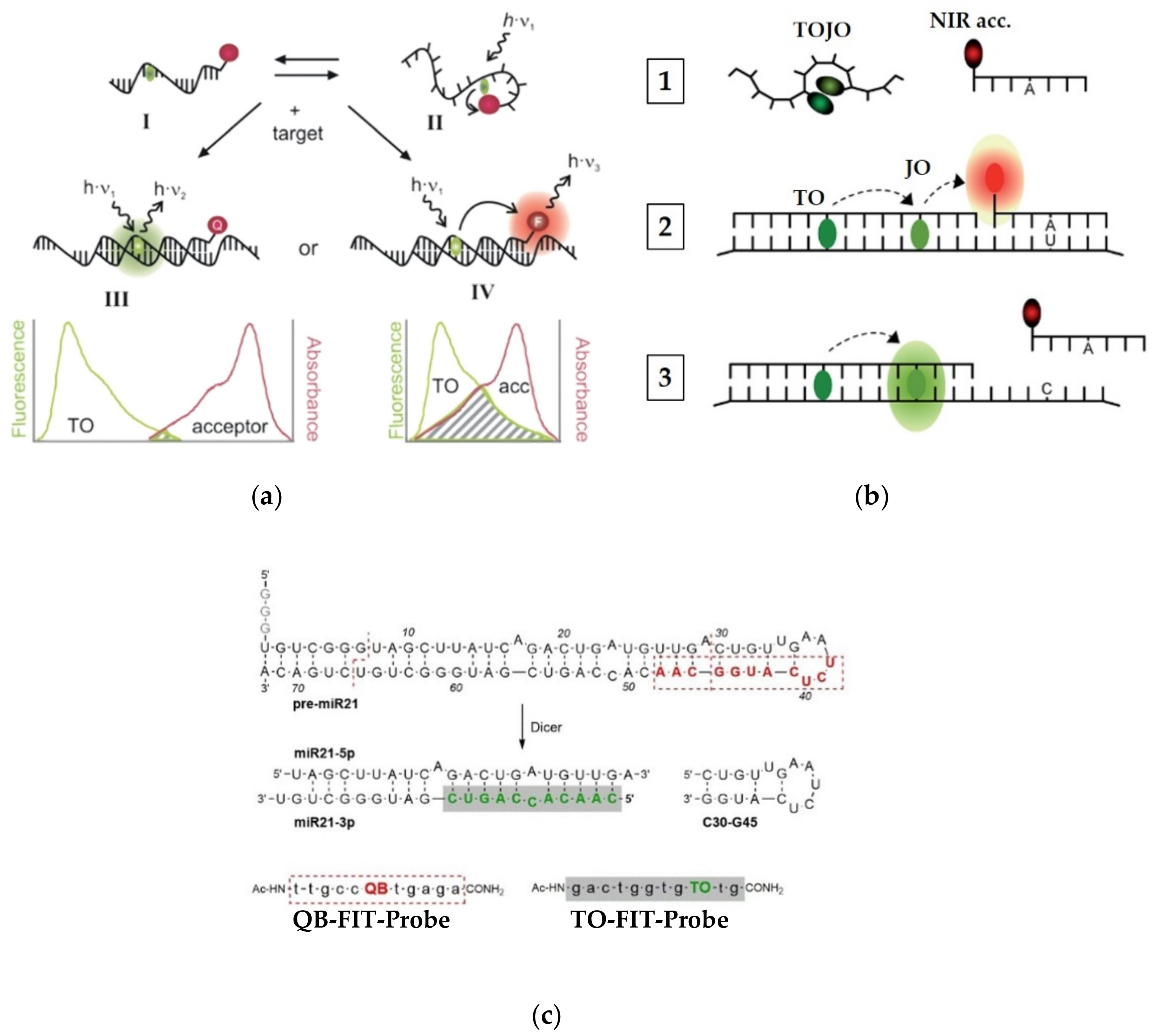 Molecules 26 02828 g005