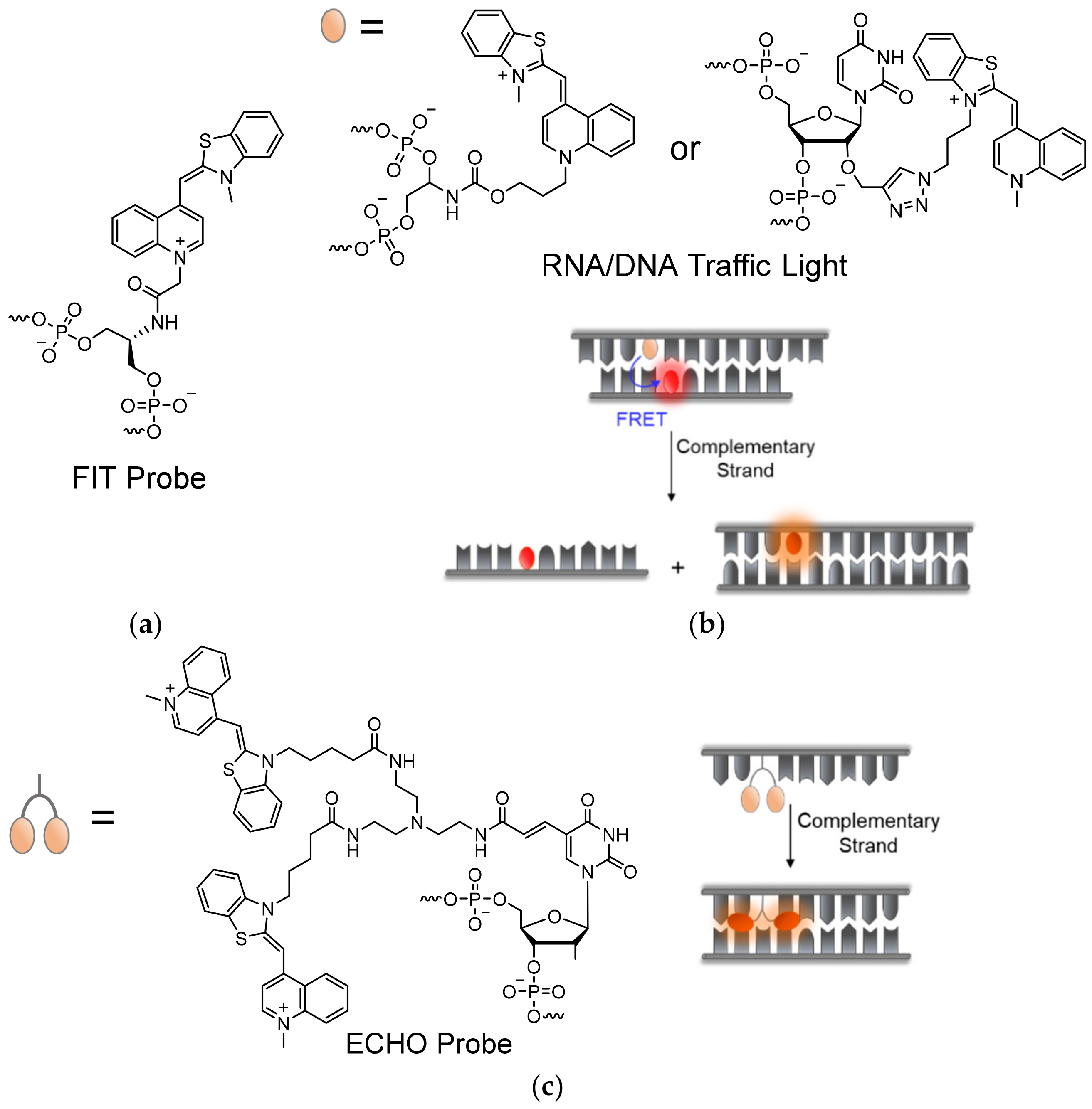 Molecules 26 02828 g006