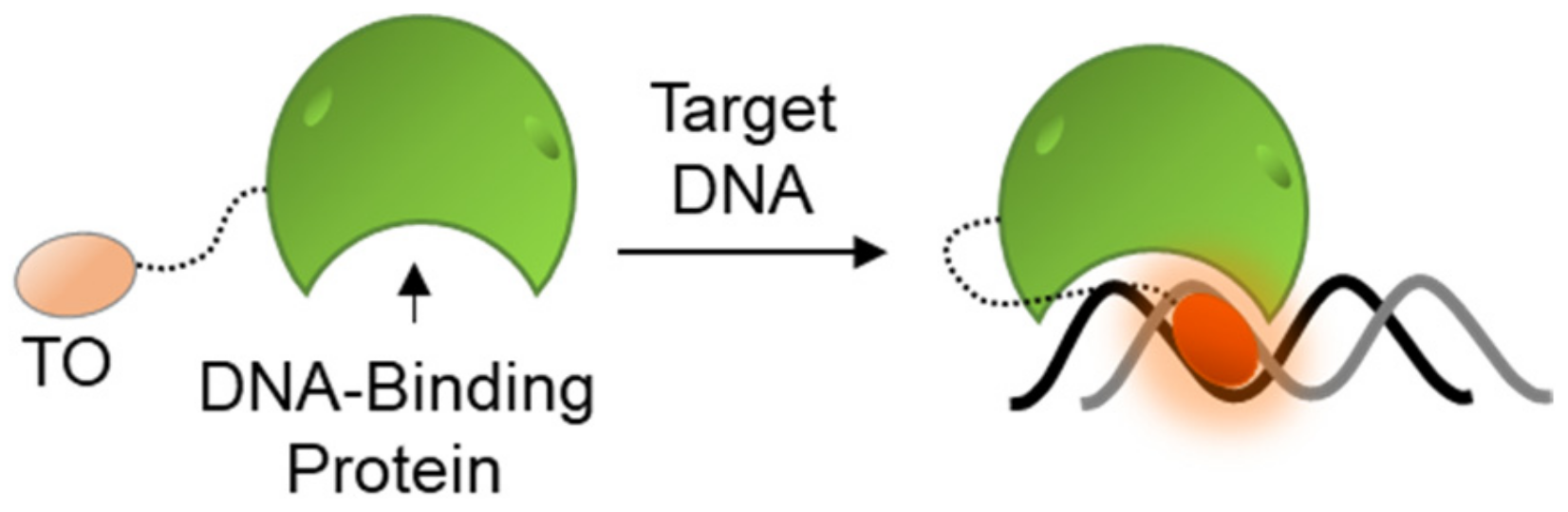 Molecules 26 02828 g008