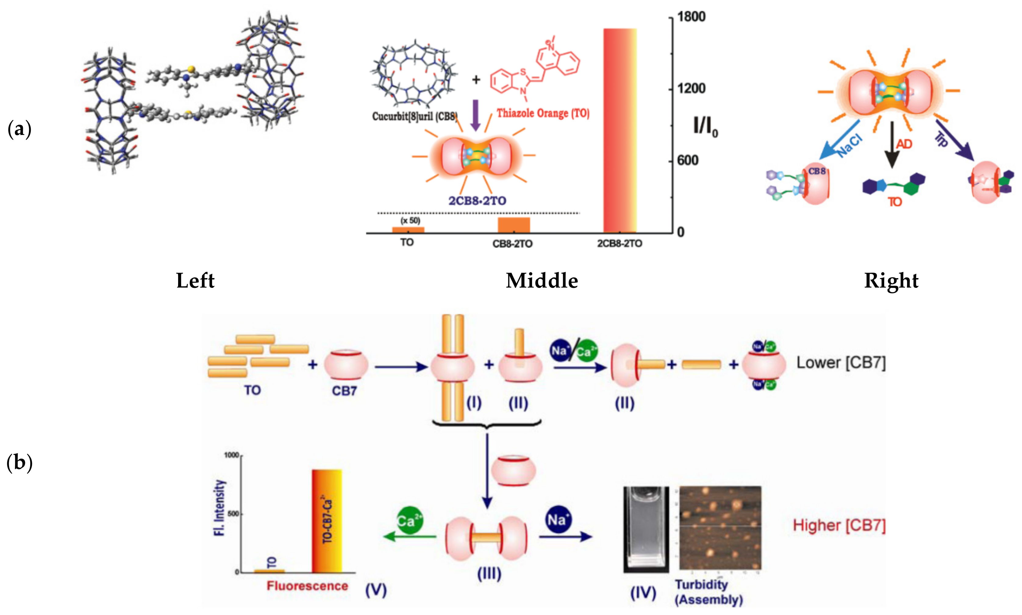 Molecules 26 02828 g009