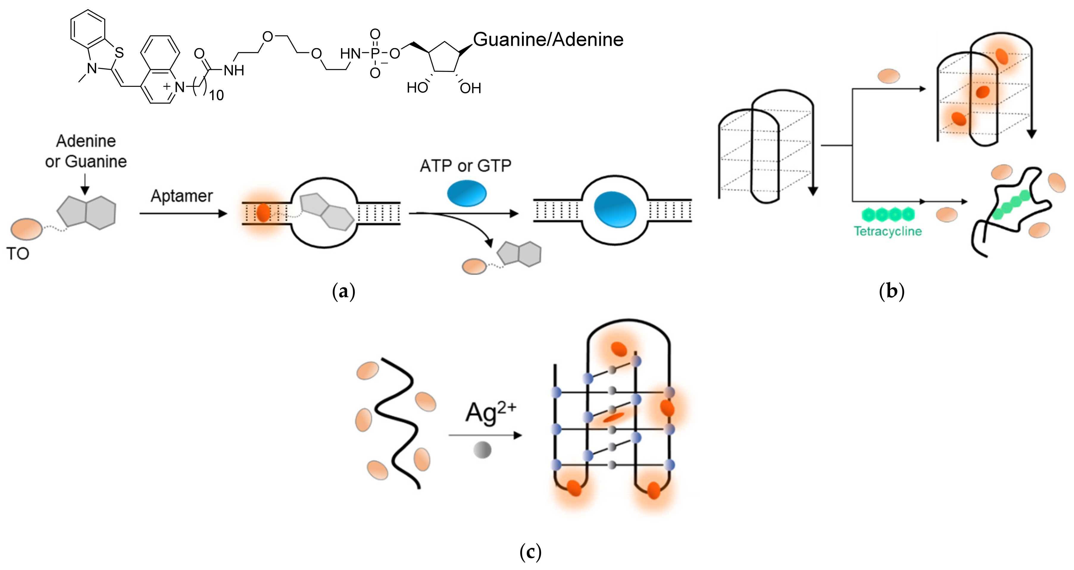 Molecules 26 02828 g010