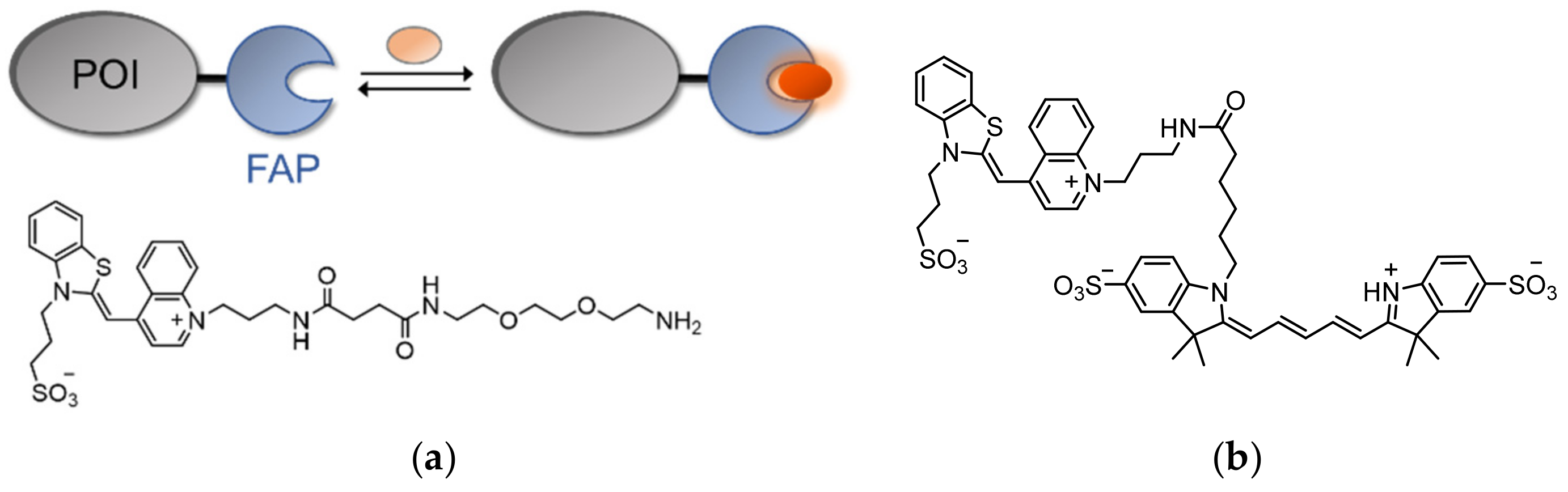 Molecules 26 02828 g011