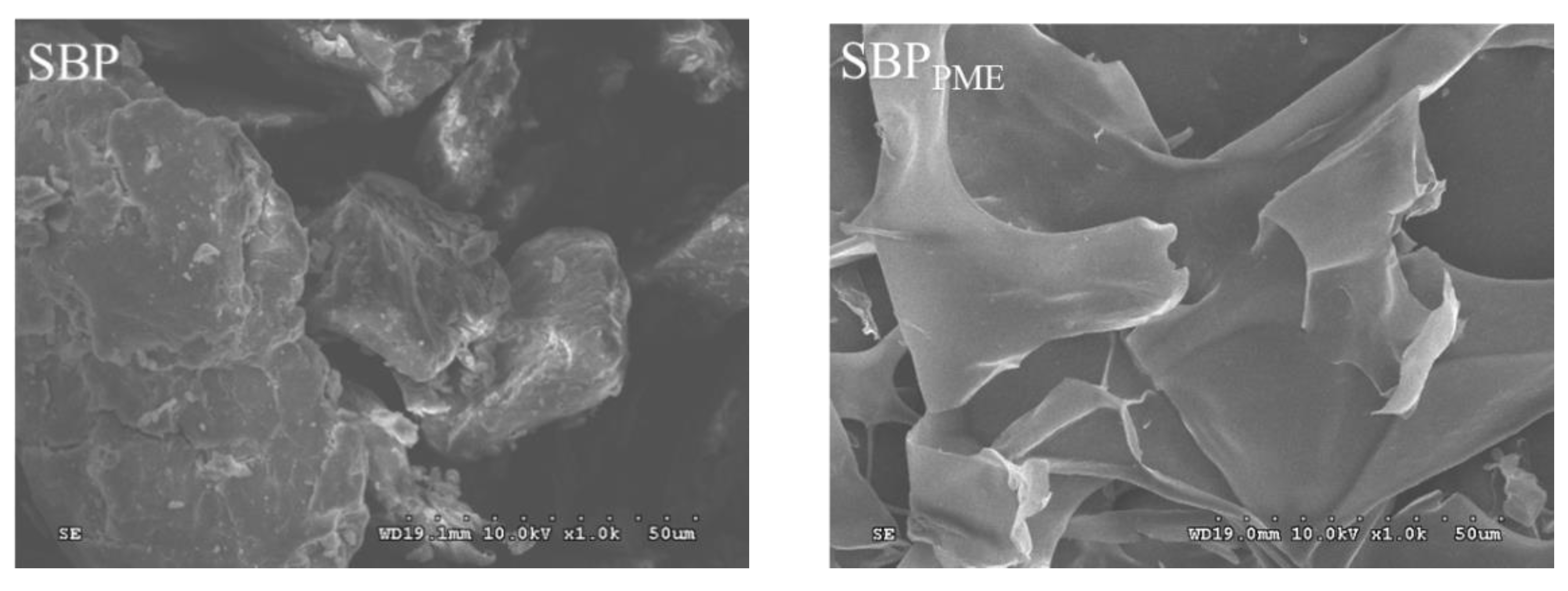Molecules 26 02829 g004a