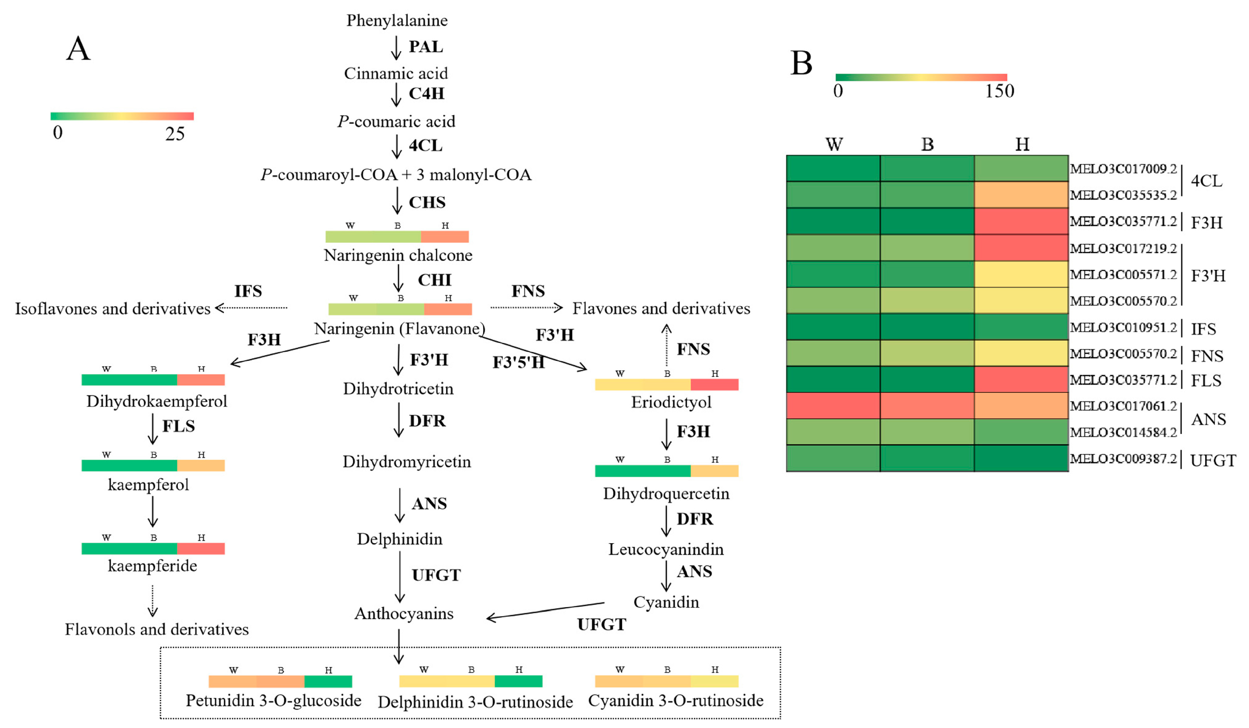 Molecules 26 02830 g006