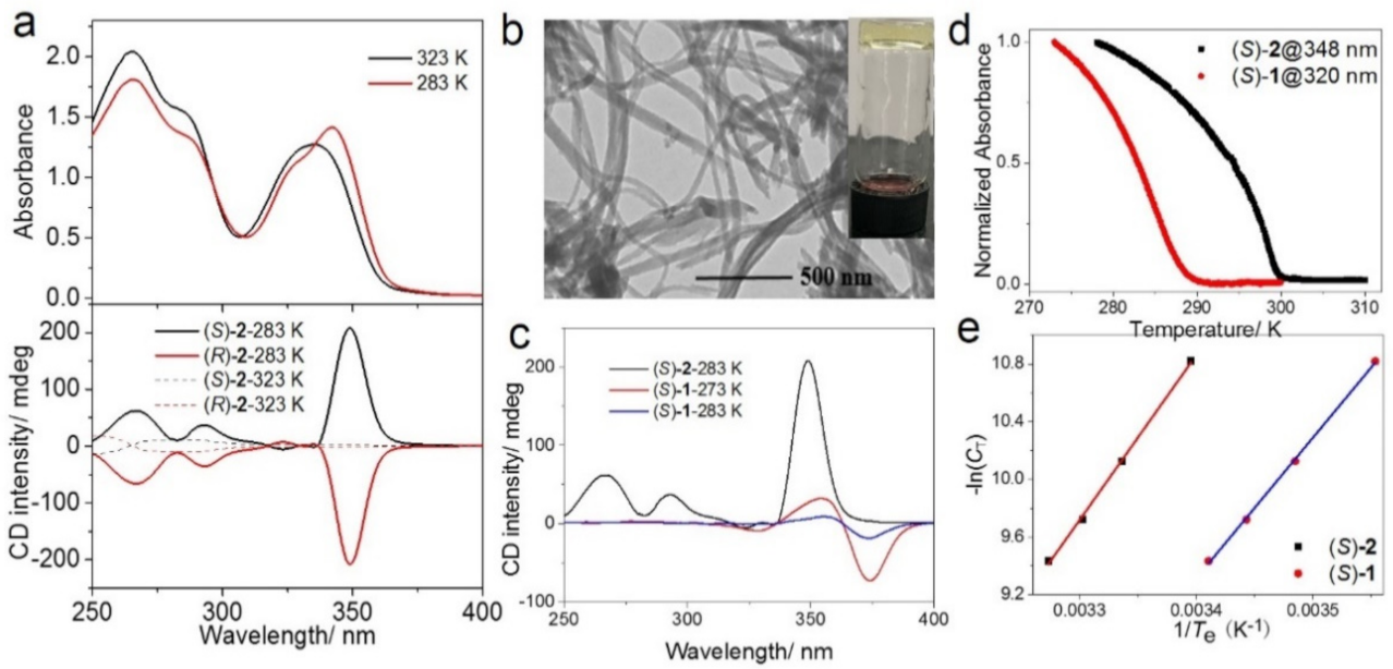 Molecules 26 02832 g001