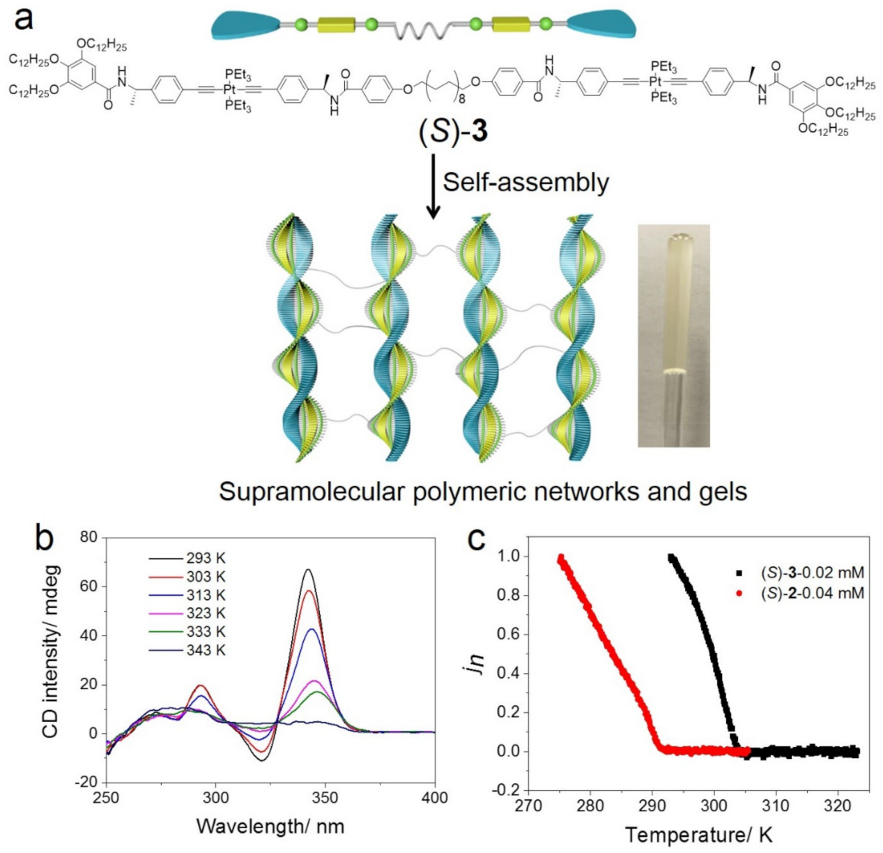Molecules 26 02832 g004