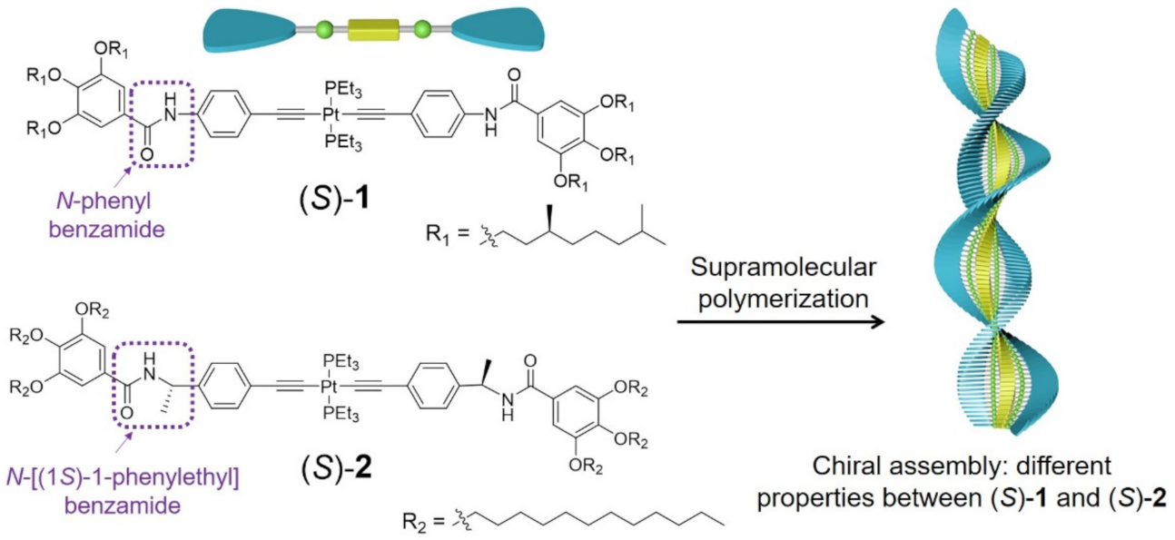 Molecules 26 02832 sch001