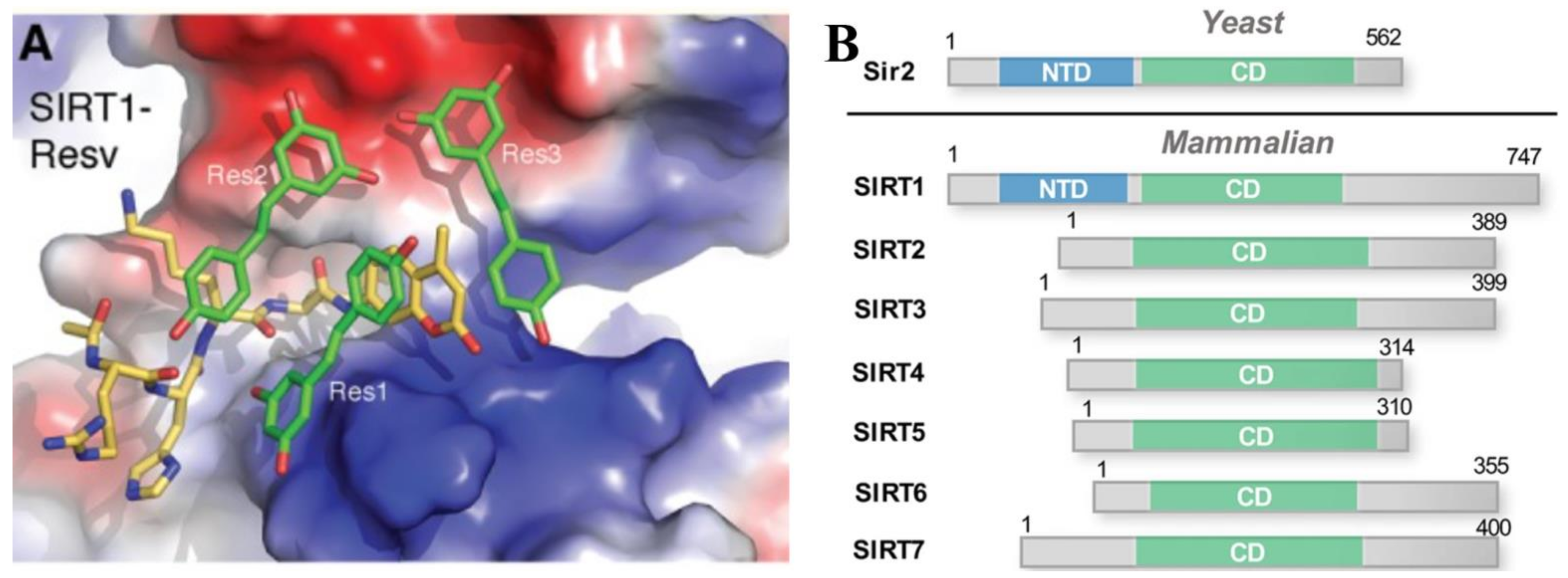 Molecules 26 02834 g003