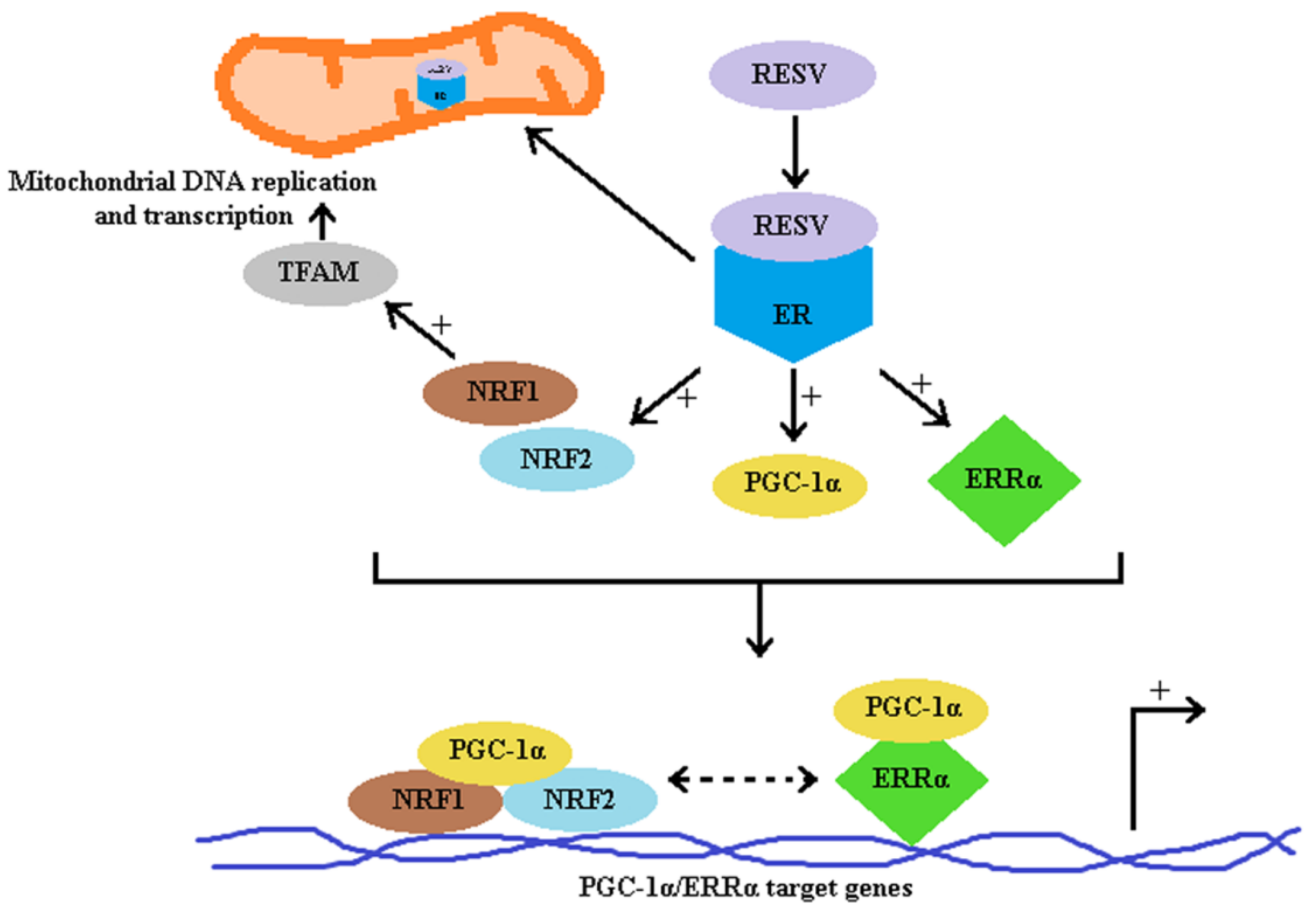 Molecules 26 02834 g005