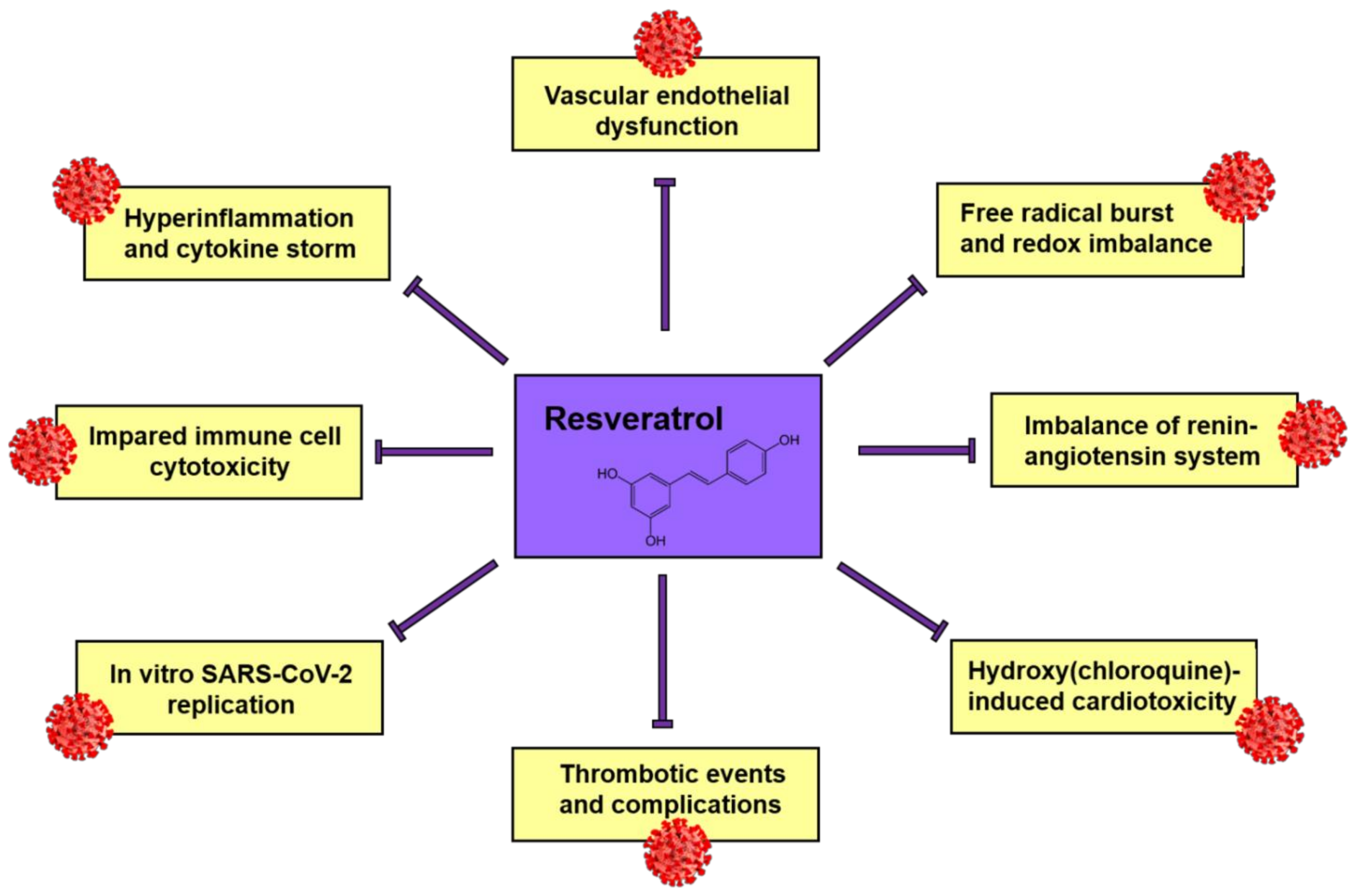 Molecules 26 02834 g006