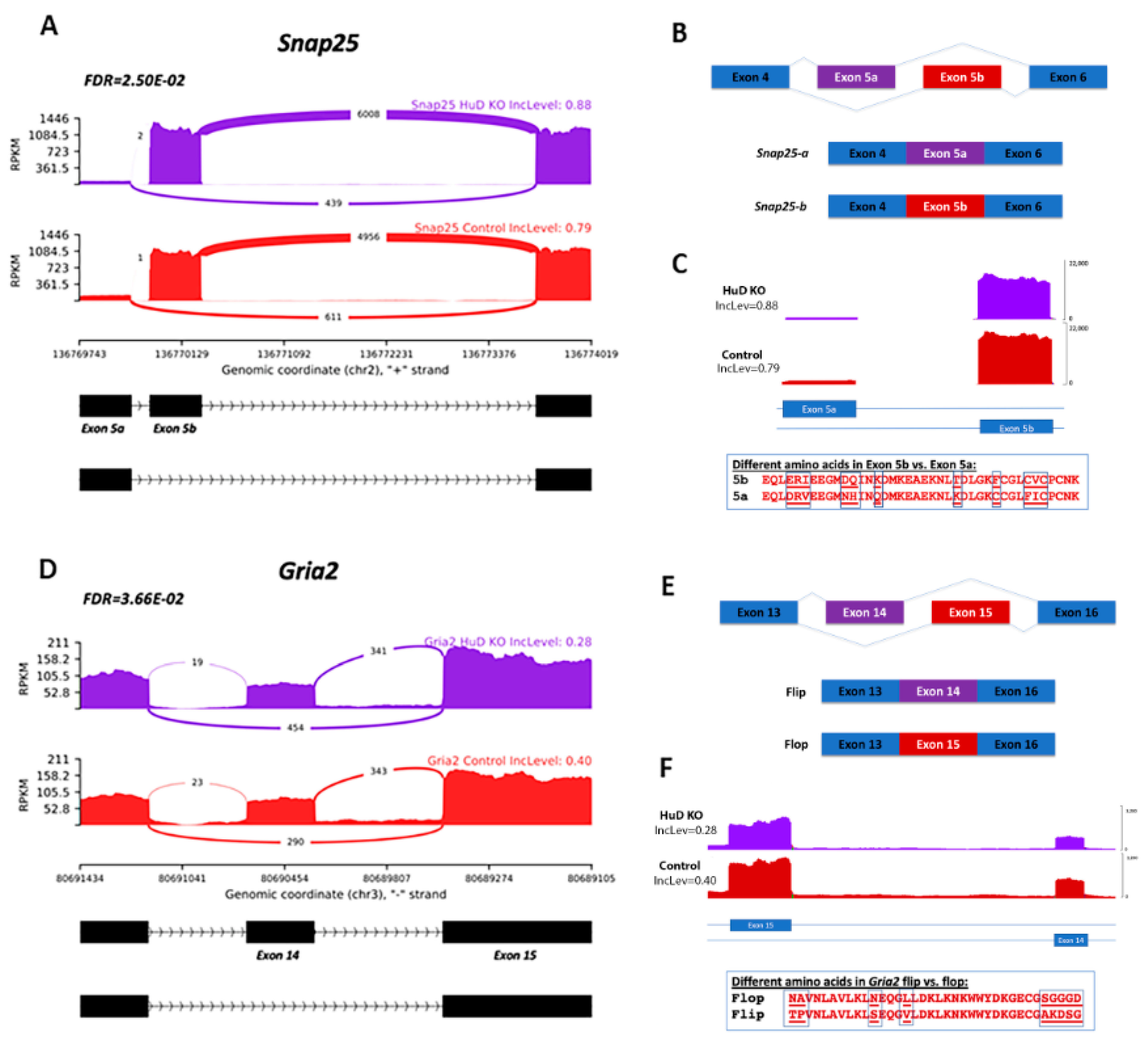 Molecules 26 02836 g004